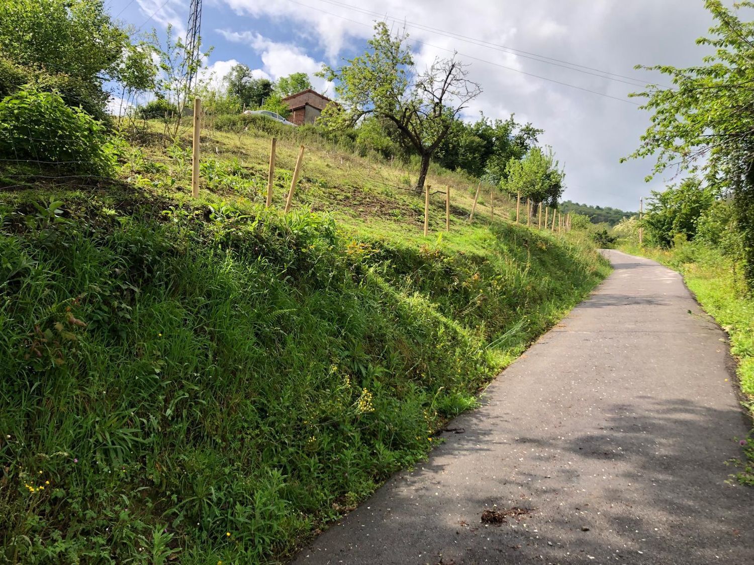 Casas o chalets-Venta-San MartÃ­n del Rey Aurelio-1731775-Foto-51