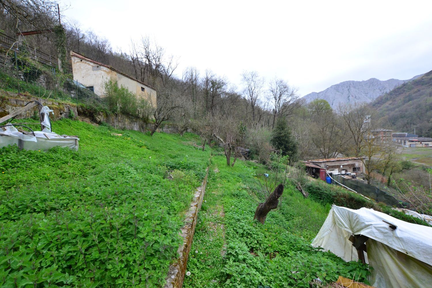 Casas o chalets-Venta-Riosa-1711200-Foto-26