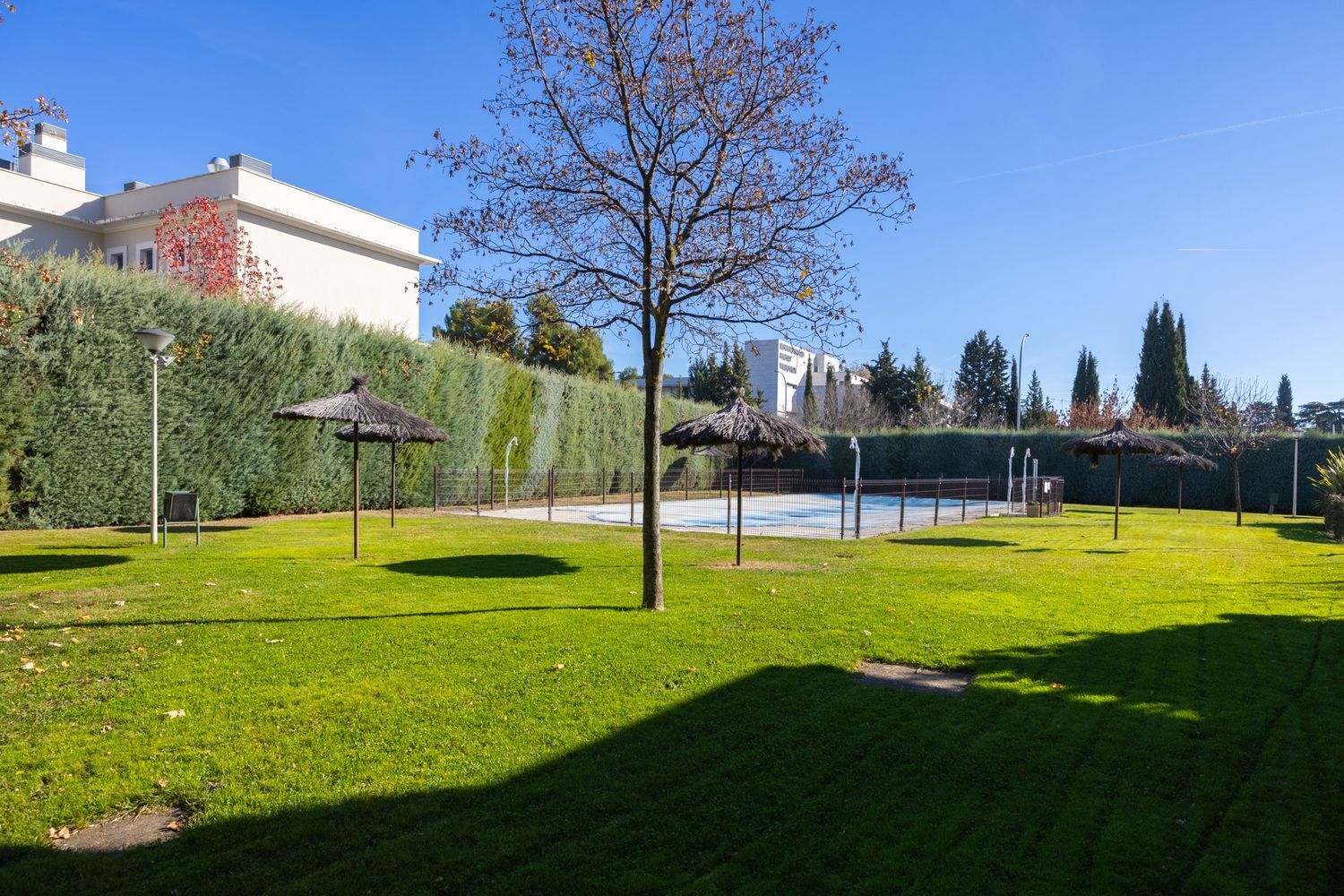 Pisos-Alquiler-Madrid-1995183-Foto-2