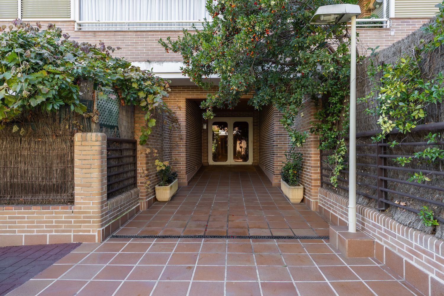 Pisos-Alquiler-Madrid-1995183-Foto-57