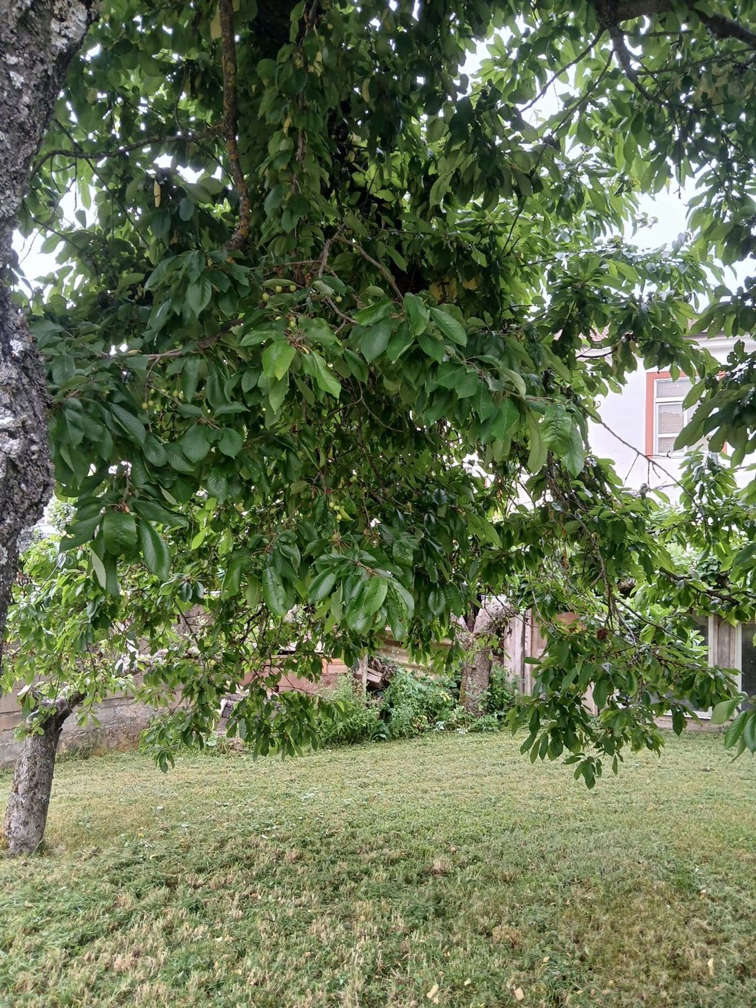 Casas o chalets-Venta-La Robla-1761693-Foto-34