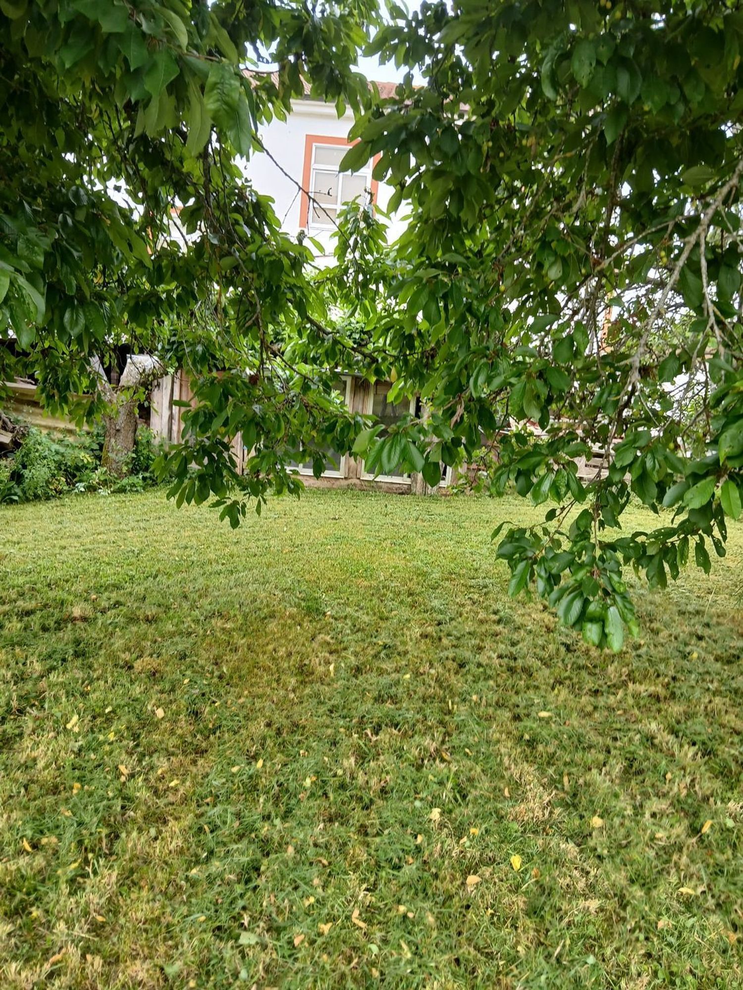 Casas o chalets-Venta-La Robla-1761693-Foto-35