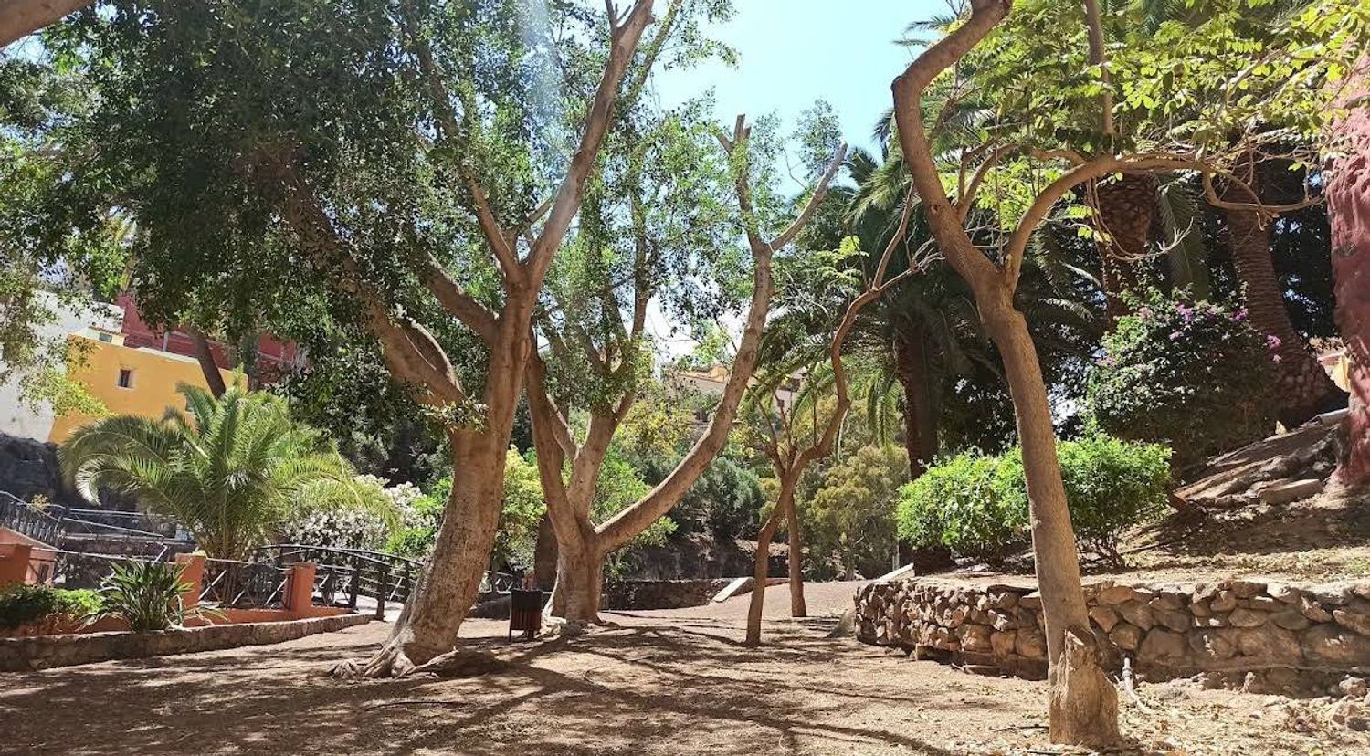 Pisos-Venta-Ingenio-1995189-Foto-34