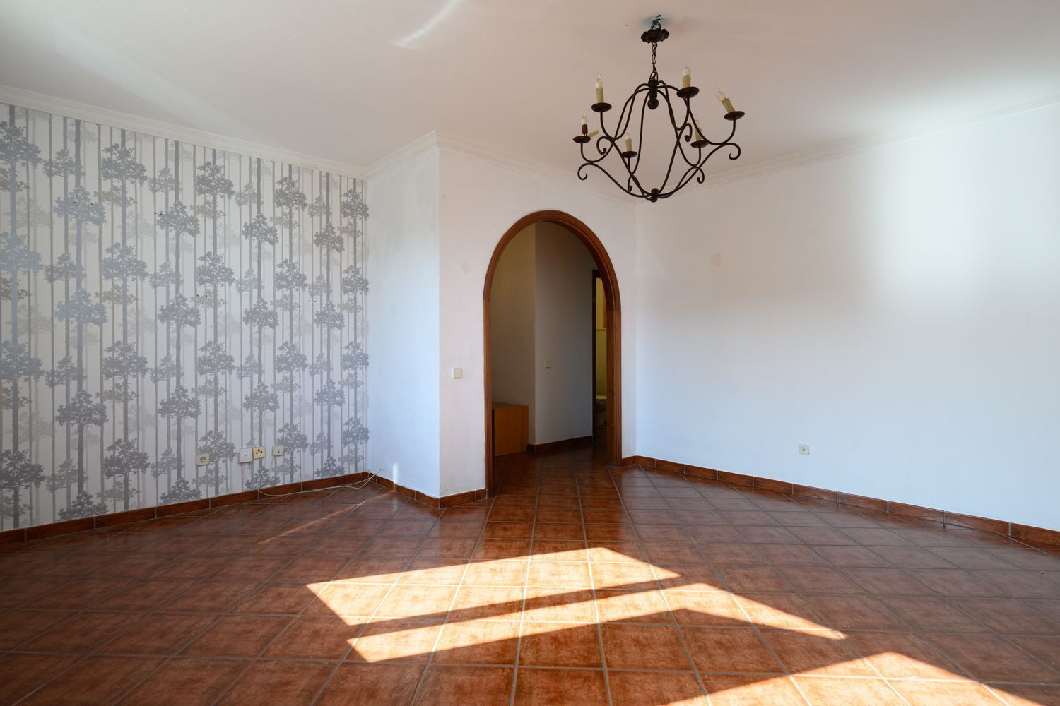 Casas o chalets-Venta-Santa BrÃ­gida-1995192-Foto-26