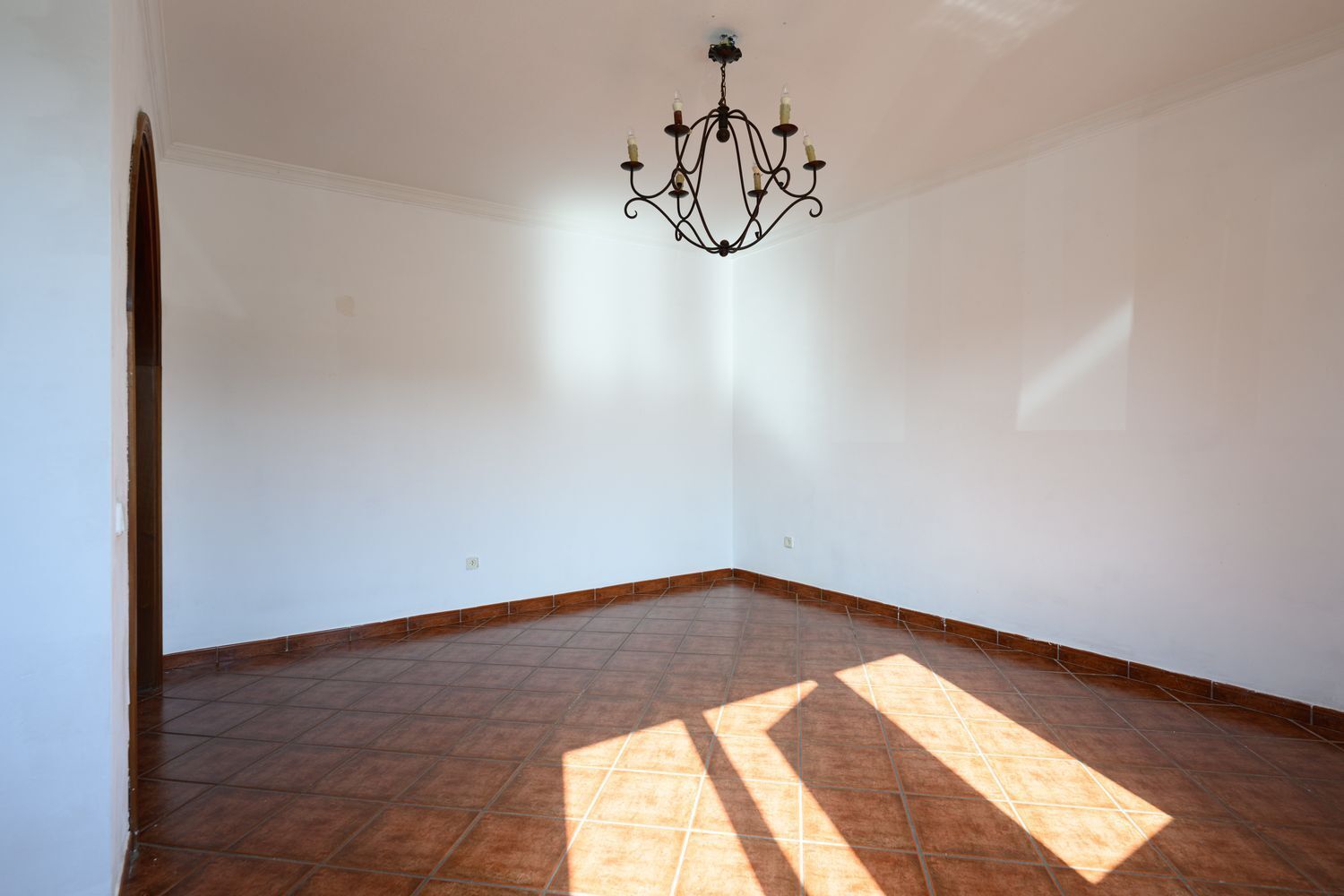 Casas o chalets-Venta-Santa BrÃ­gida-1995192-Foto-28