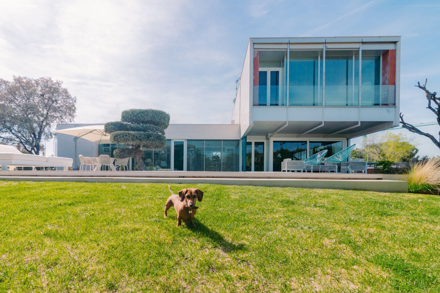 Casas o chalets-Venta-Boadilla del Monte-1712117-Foto-53