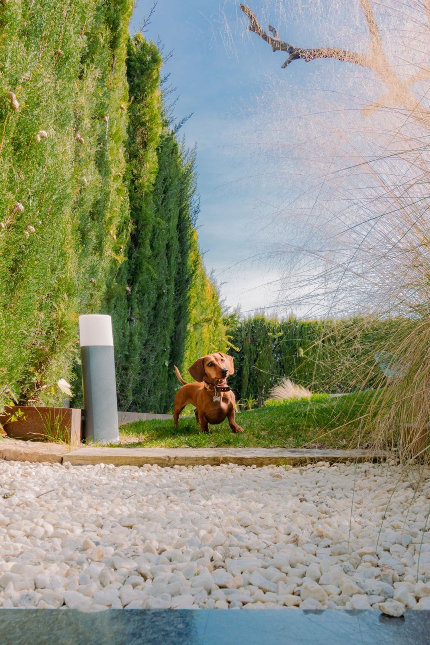 Casas o chalets-Venta-Boadilla del Monte-1712117-Foto-54