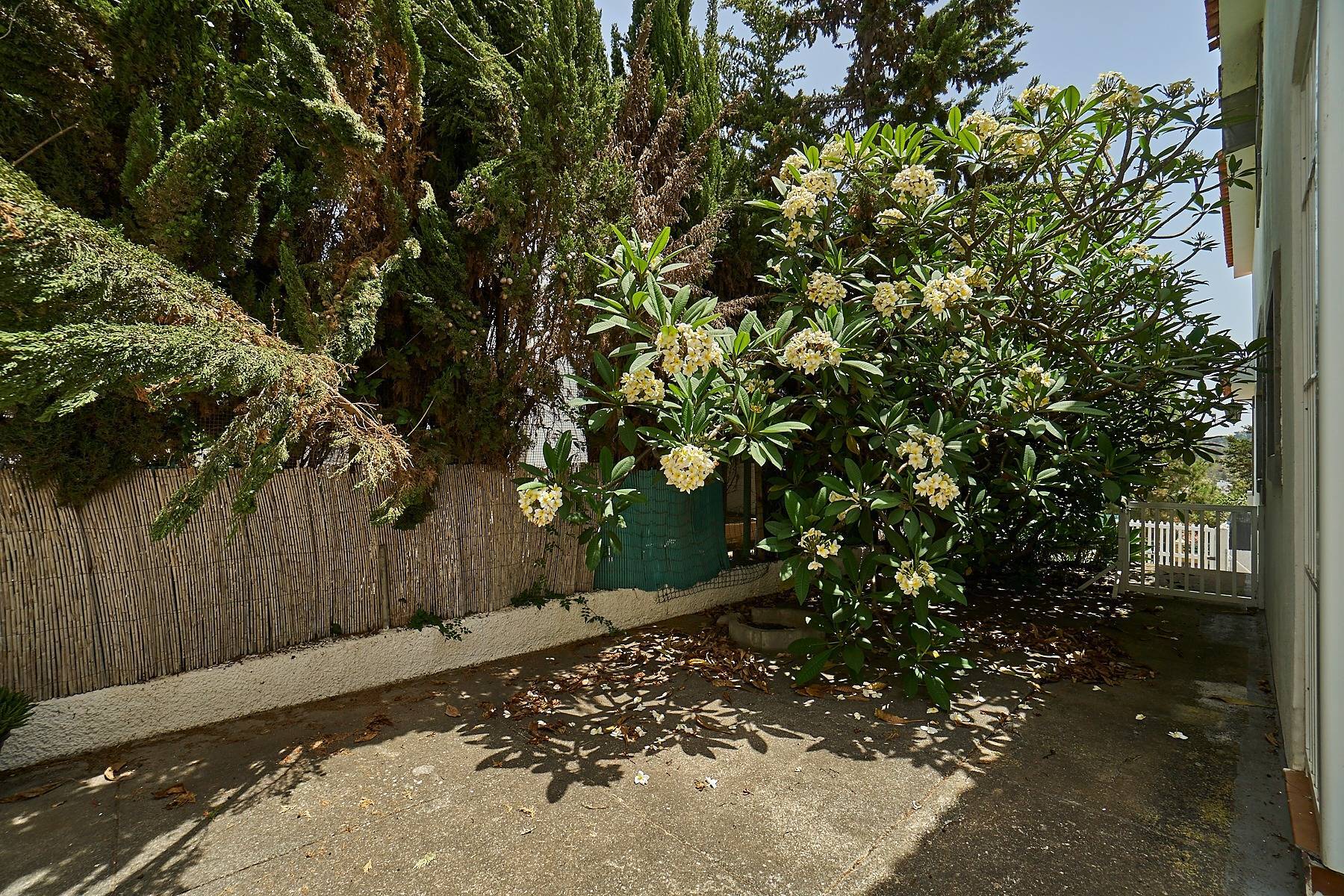 Casas o chalets-Venta-Santa BrÃ­gida-1887729-Foto-9