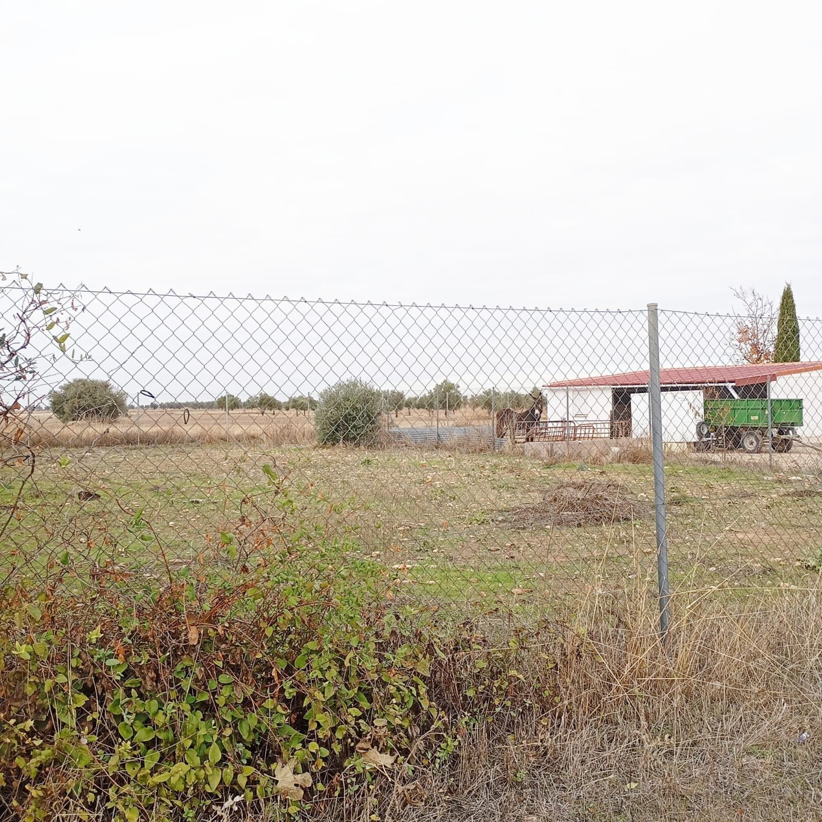 Fincas y solares-Venta-Yepes-1995255-Foto-3