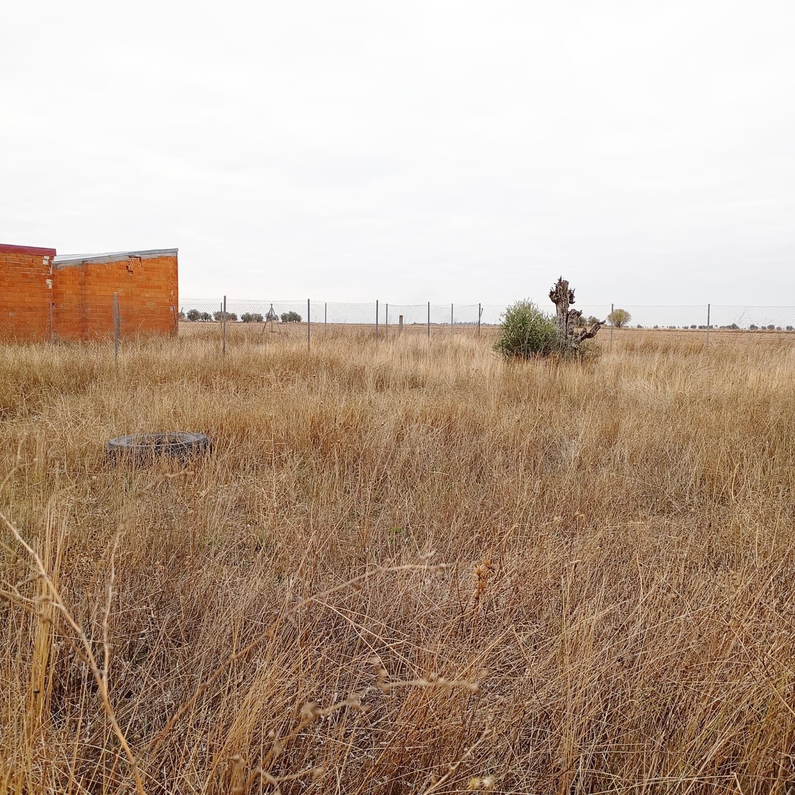 Fincas y solares-Venta-Yepes-1995255-Foto-6