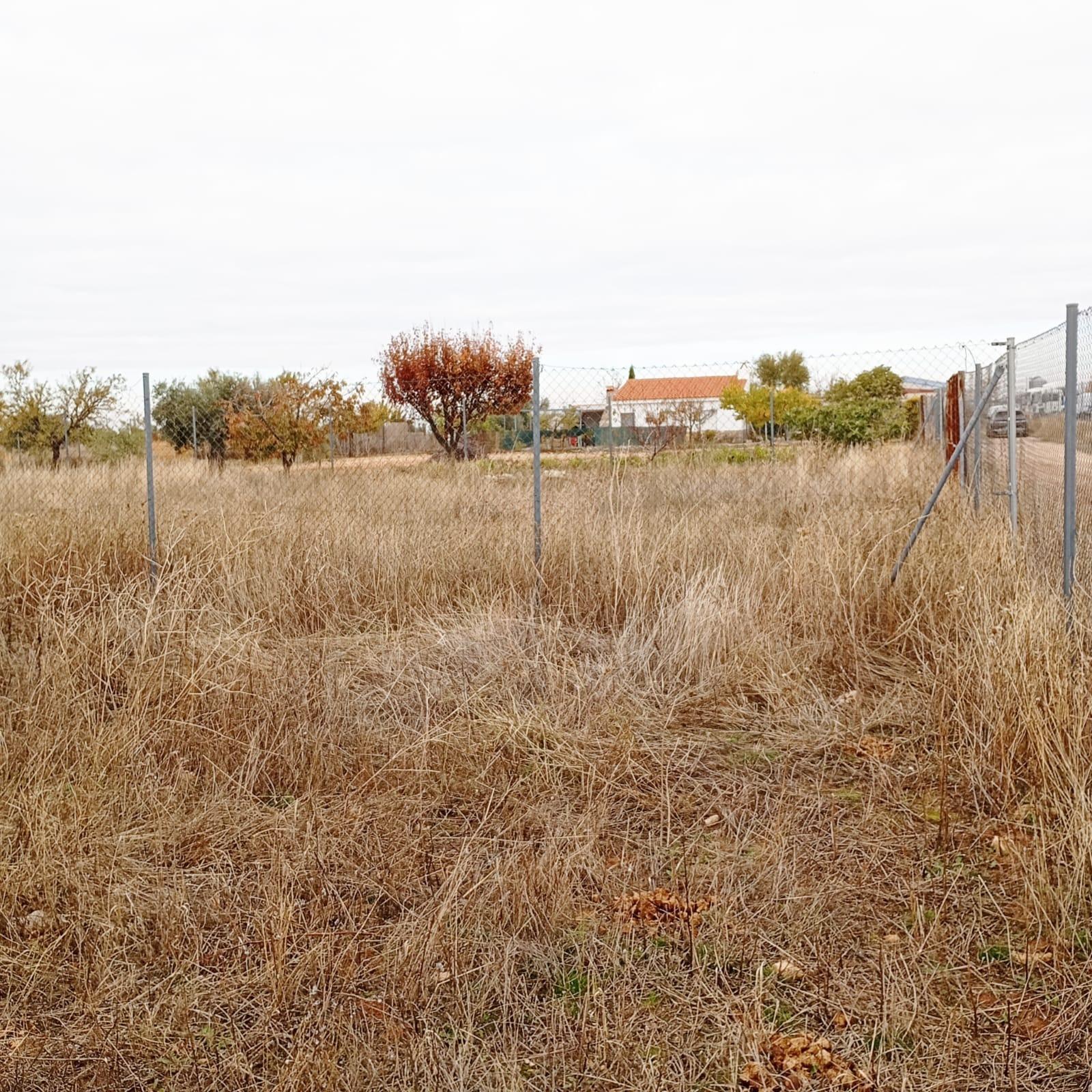 Fincas y solares-Venta-Yepes-1995255-Foto-10