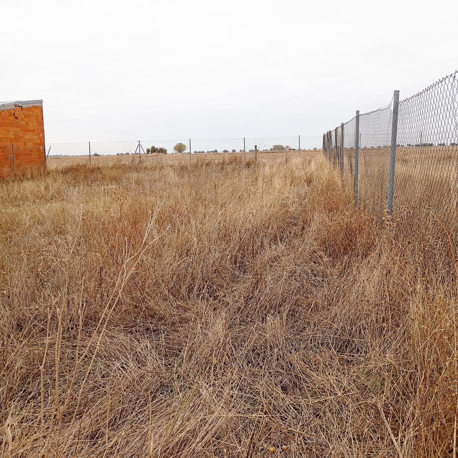 Fincas y solares-Venta-Yepes-1995255-Foto-9