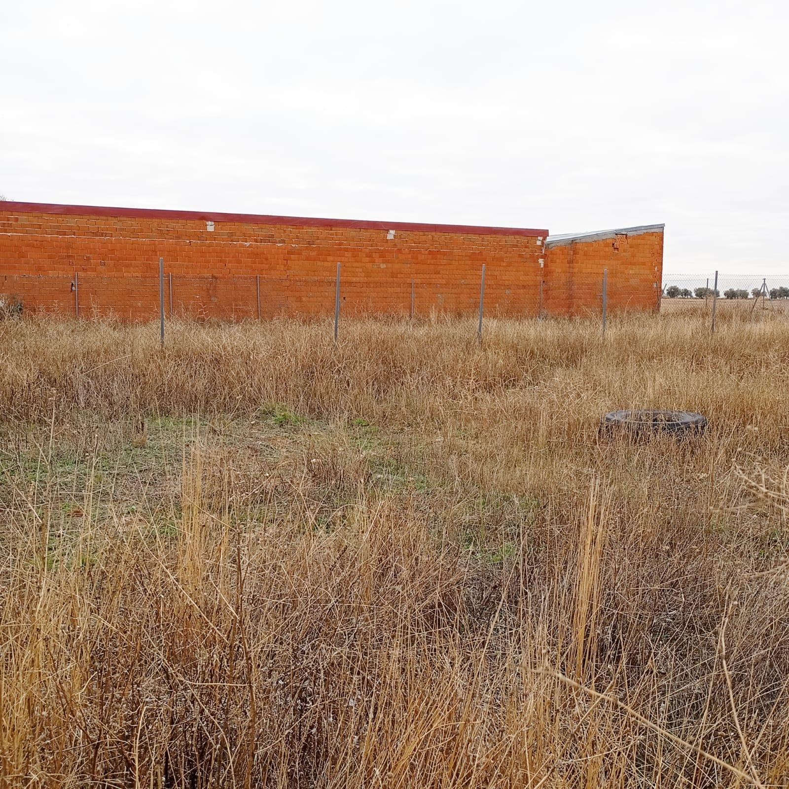 Fincas y solares-Venta-Yepes-1995255-Foto-13