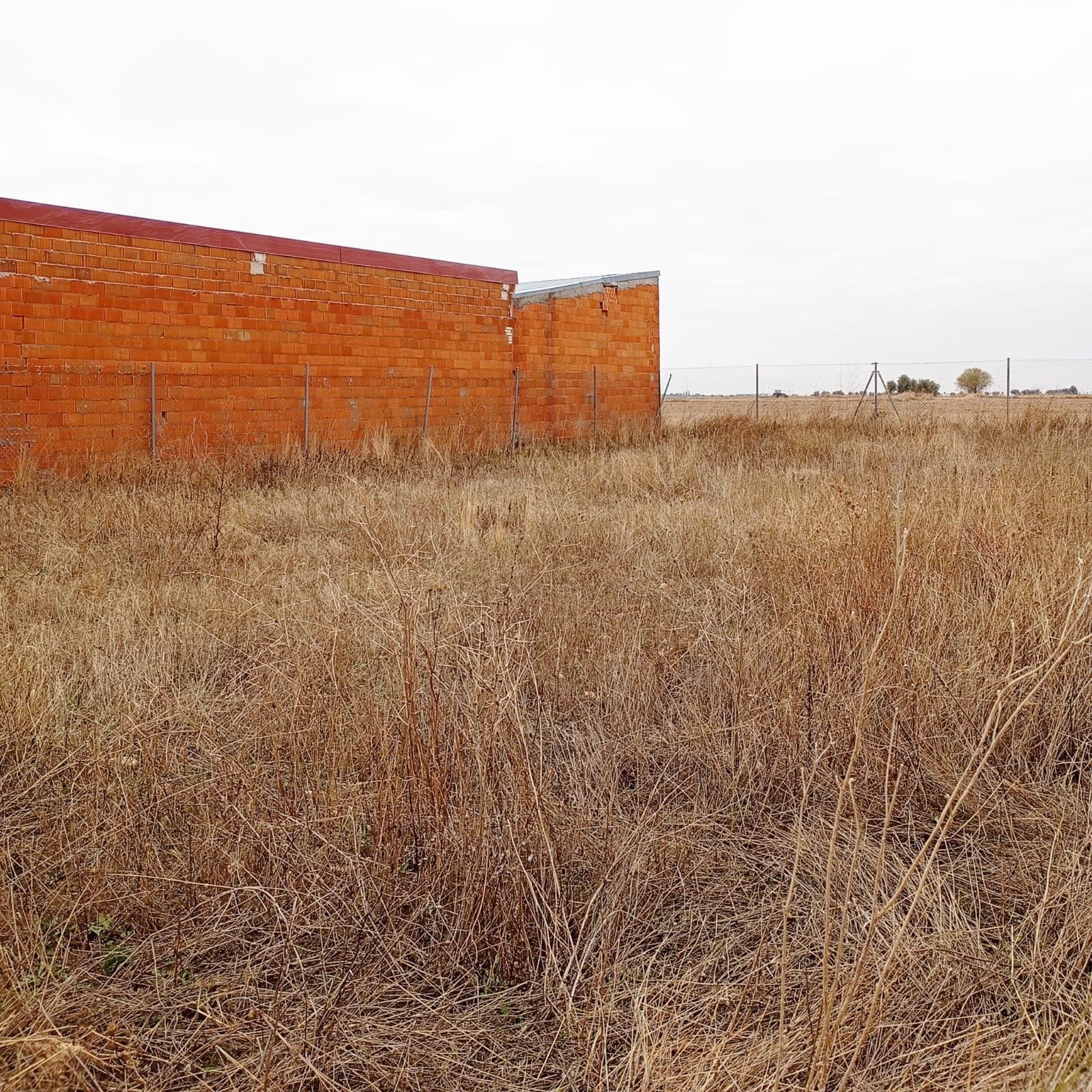 Fincas y solares-Venta-Yepes-1995255-Foto-16