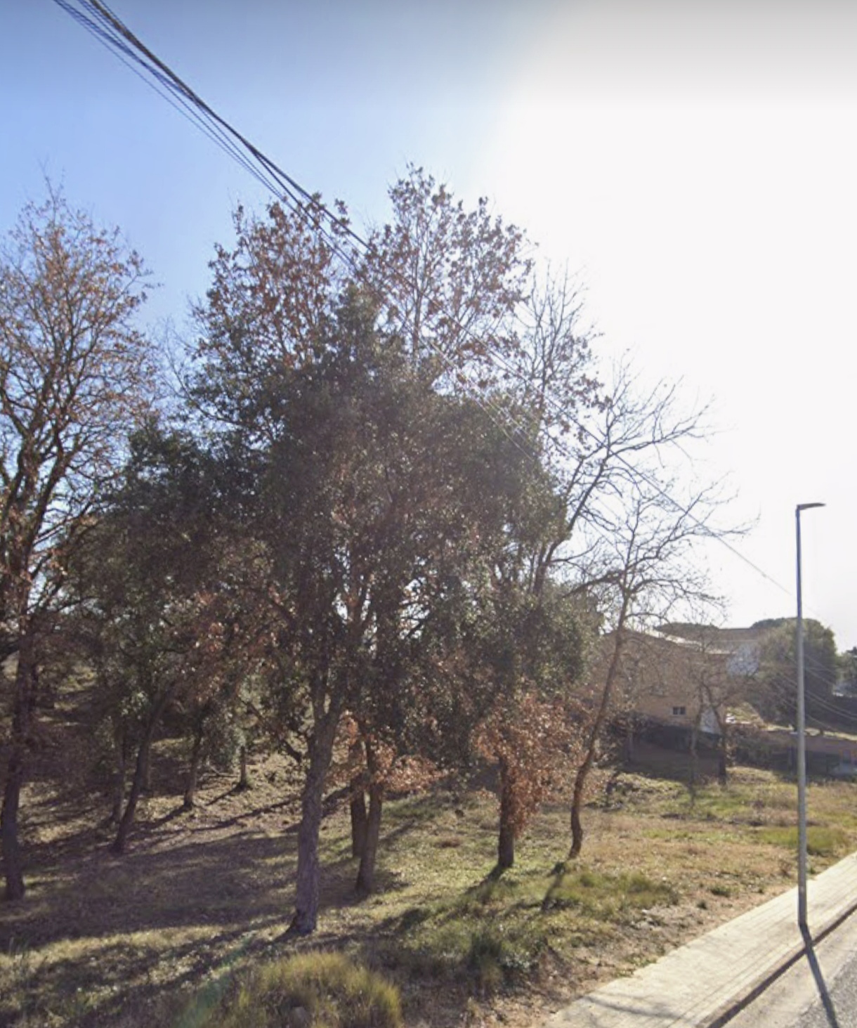 Fincas y solares-Venta-Sils-1995243-Foto-3