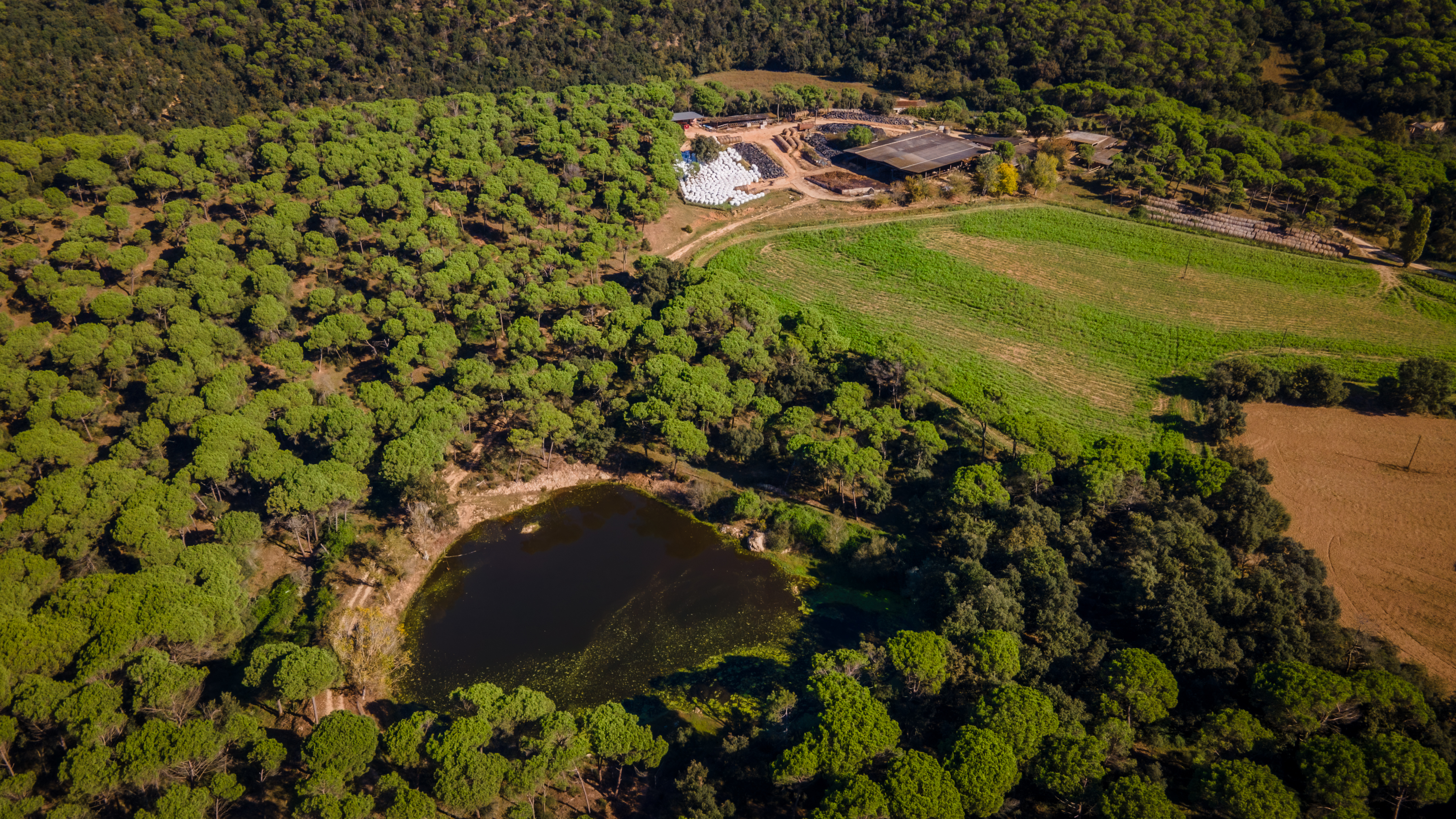Pisos-Venta-Llambilles-1995234-Foto-24