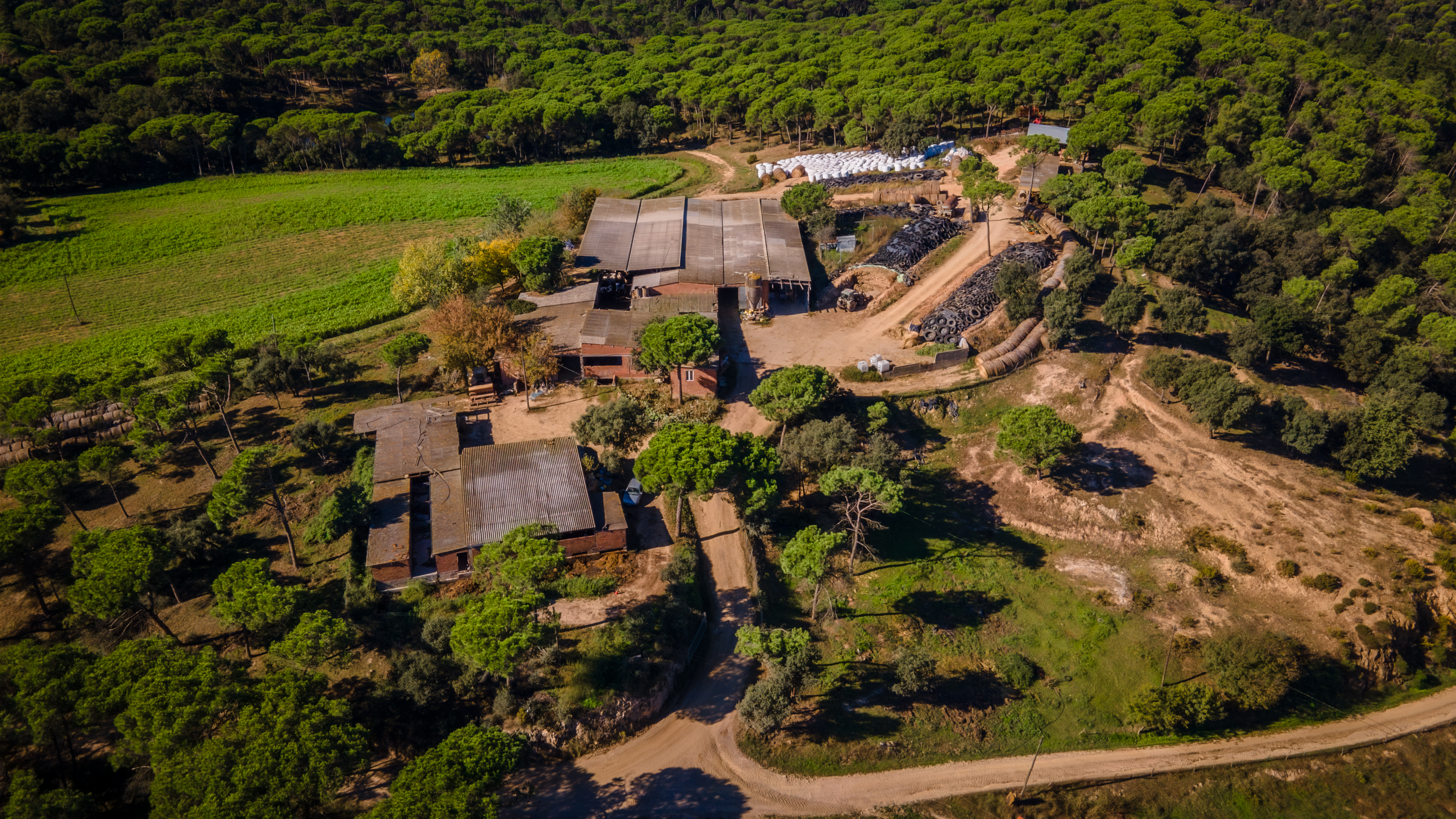 Pisos-Venta-Llambilles-1995234-Foto-25