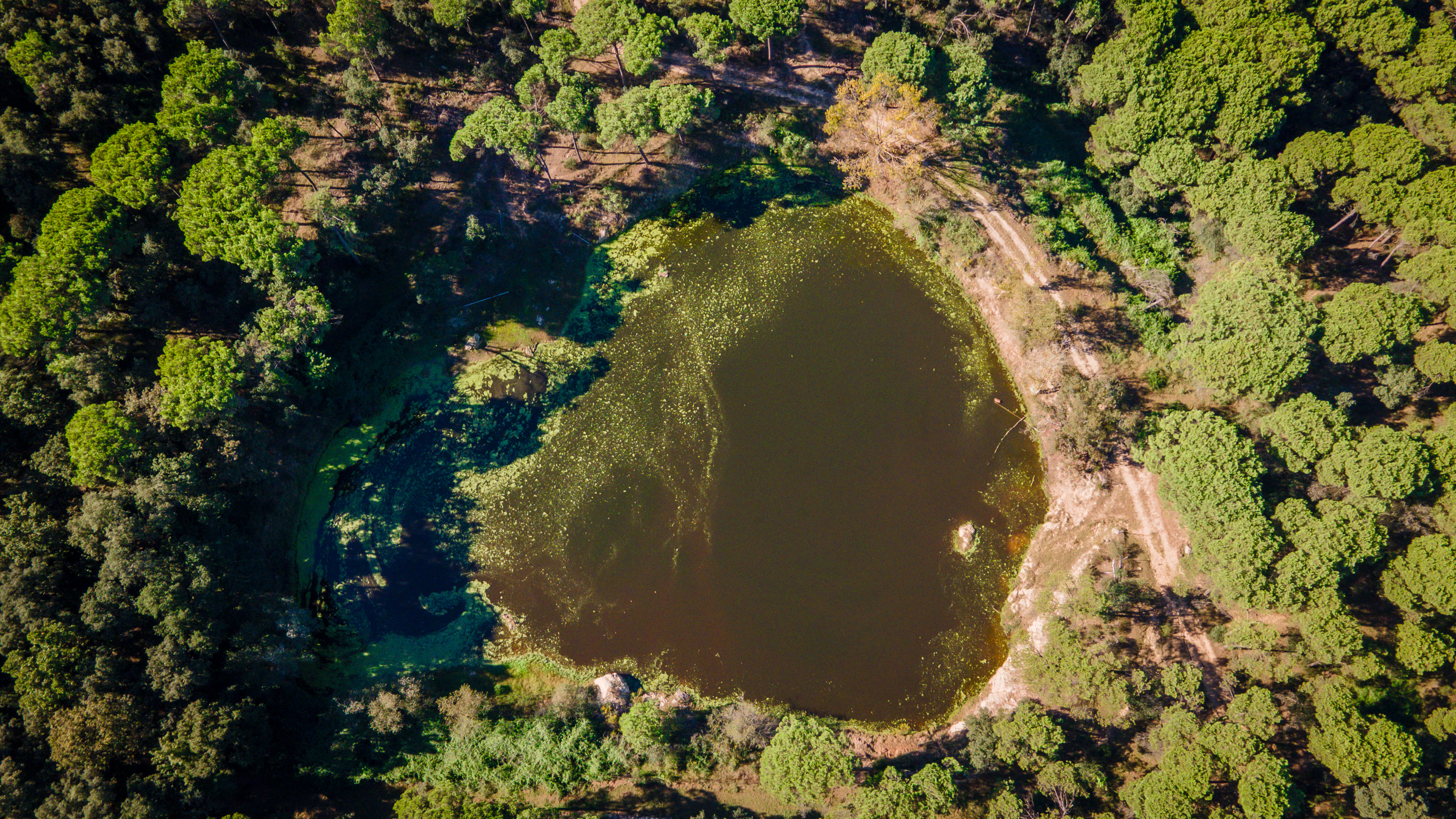 Pisos-Venta-Llambilles-1995234-Foto-23