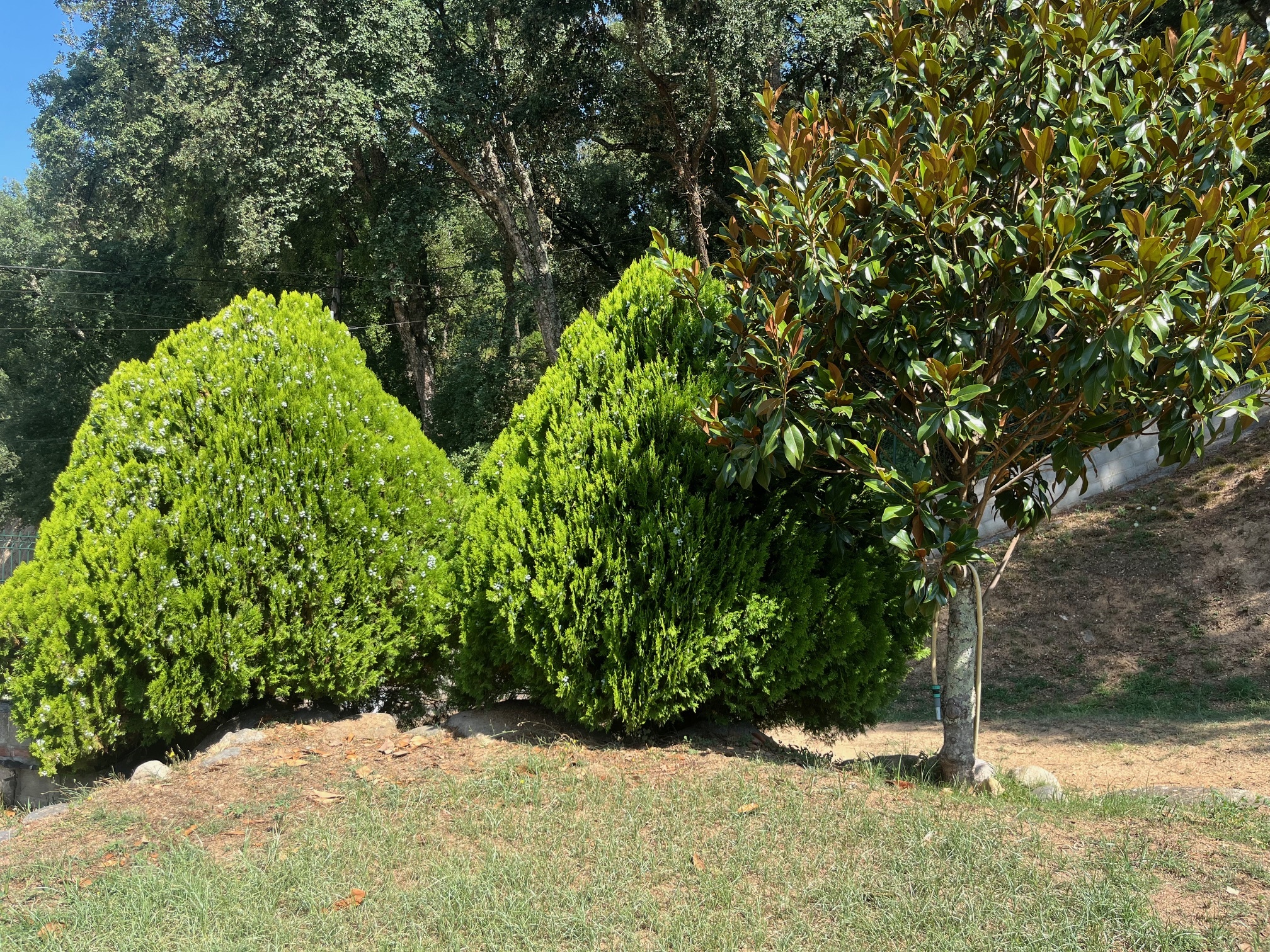 Terreno edificable en Pujals 1-2 (dos parcelas)