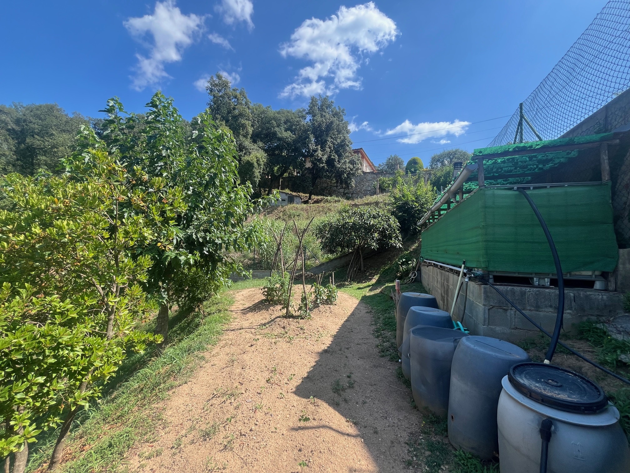 Terreno edificable en Pujals 1-2 (dos parcelas)