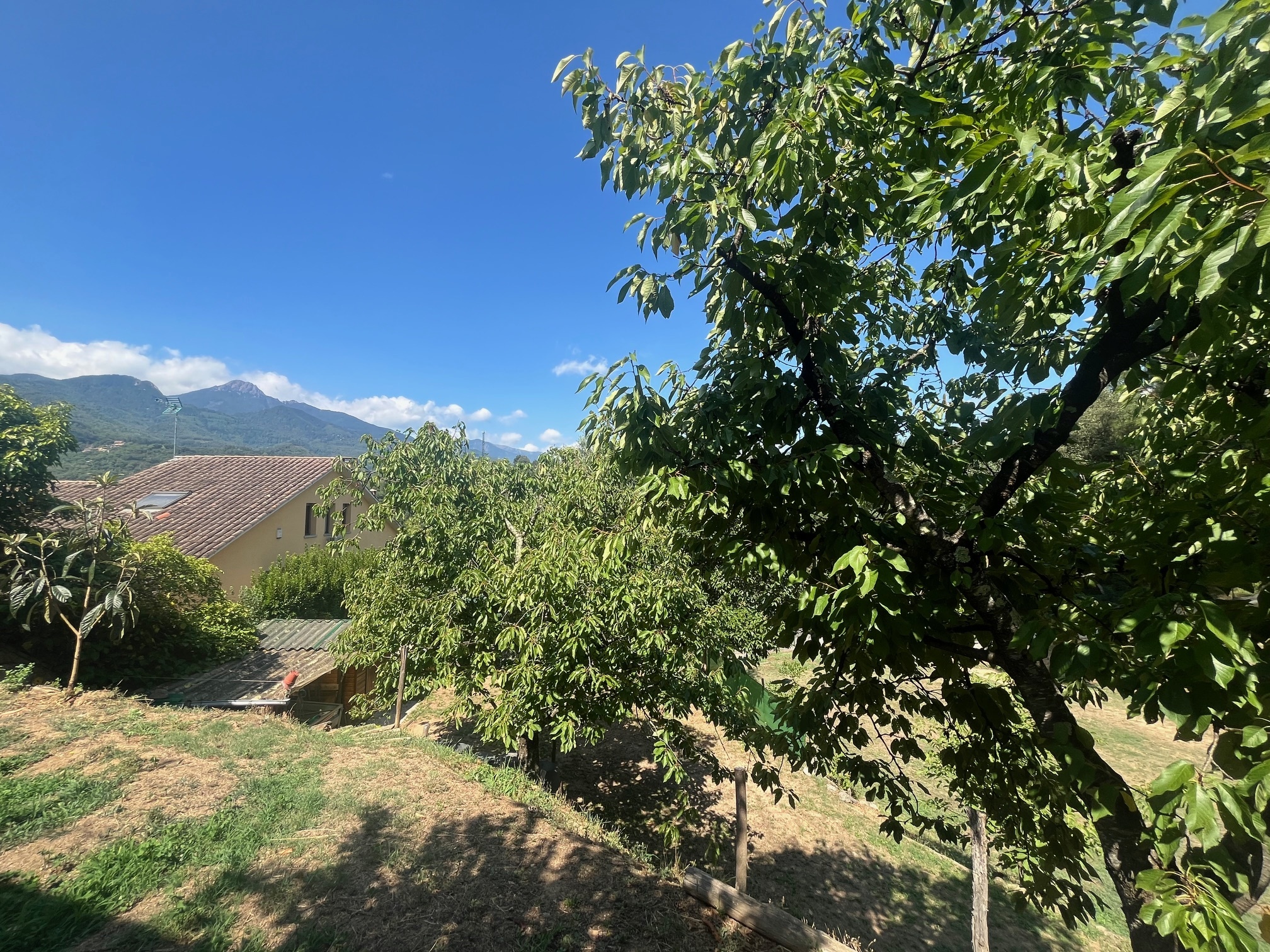 Terreno edificable en Pujals 1-2 (dos parcelas)