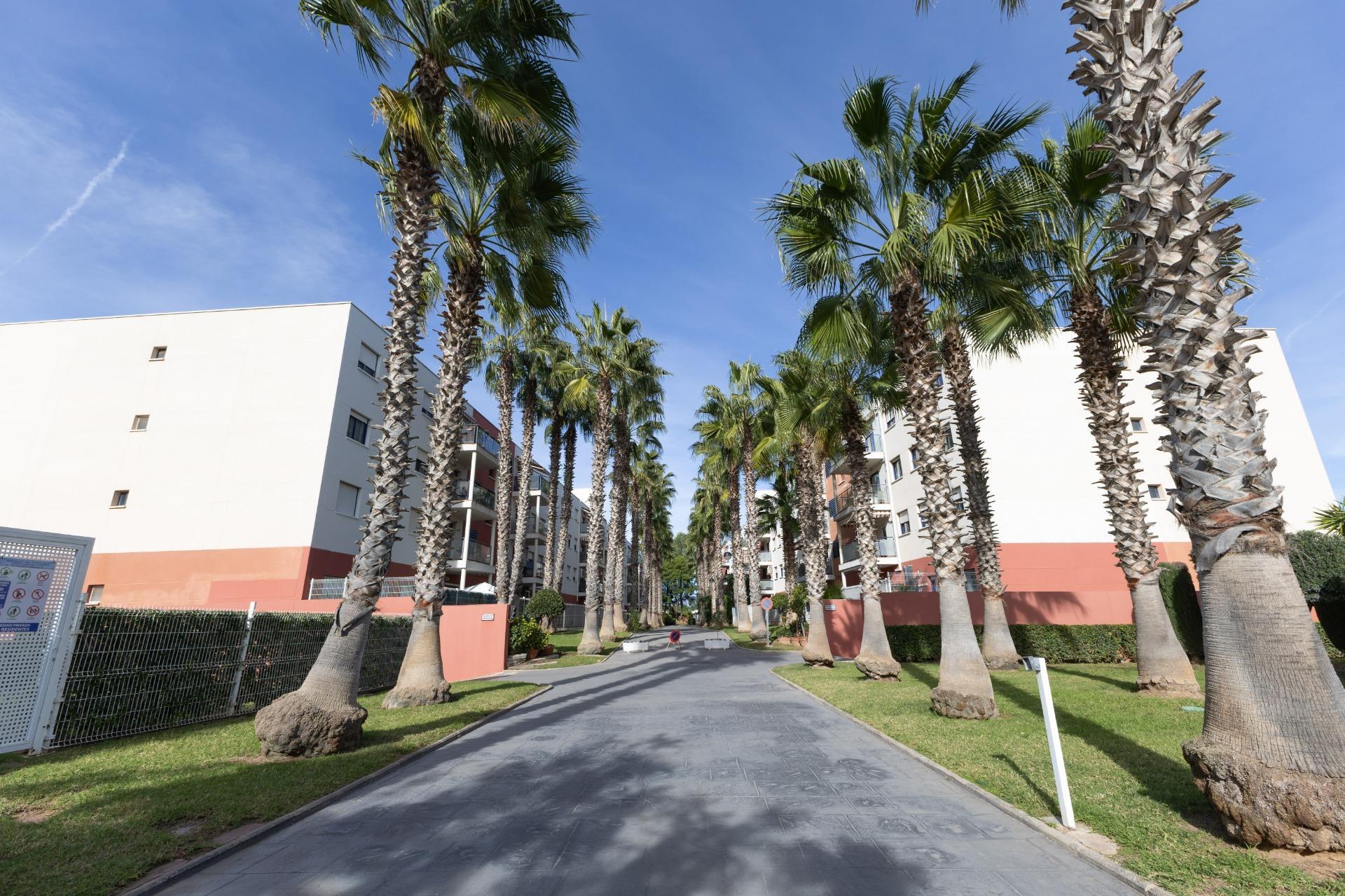 Pisos-Venta-Riba-roja de TÃºria-1995210-Foto-30