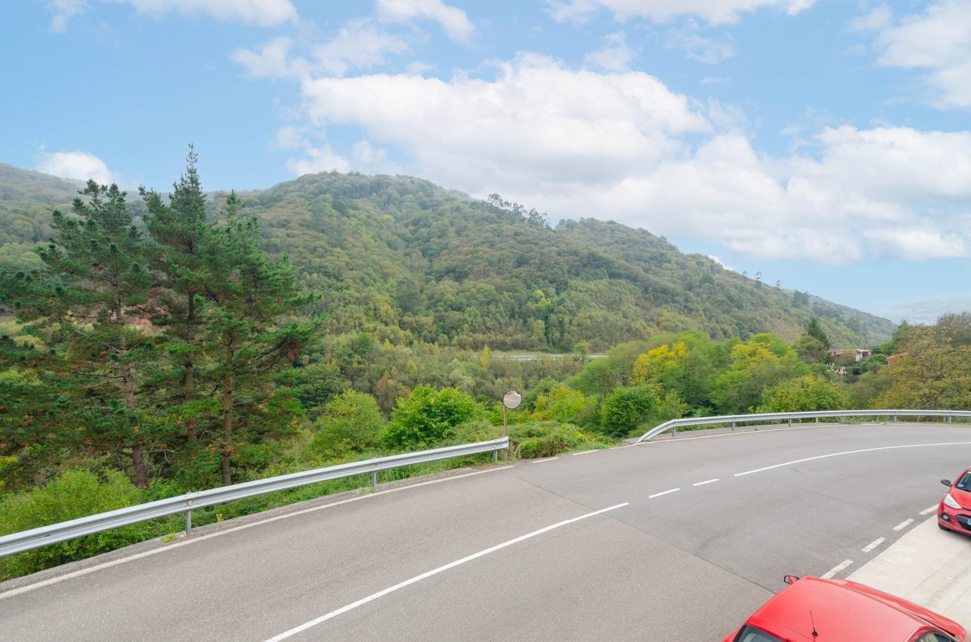 Pisos-Venta-Mieres-1888613-Foto-31