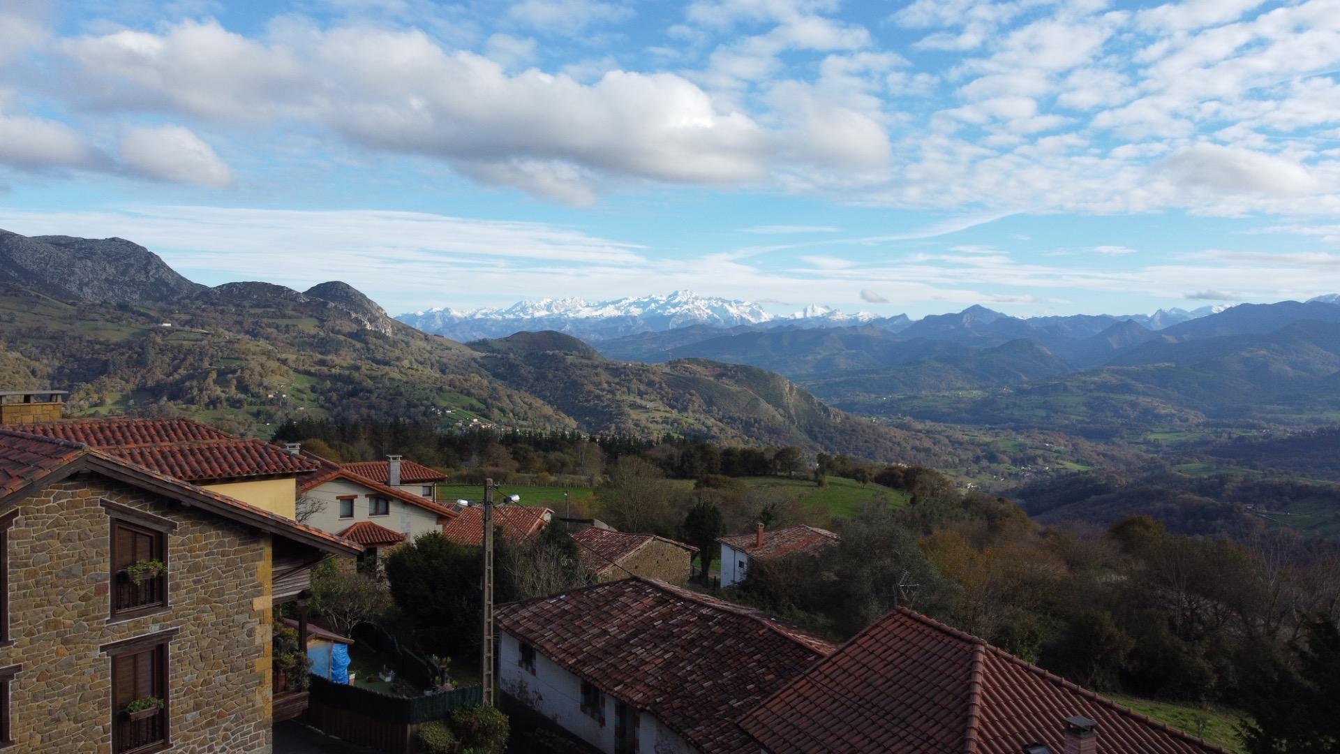 Casas o chalets-Venta-PiloÃ±a-1995216-Foto-2