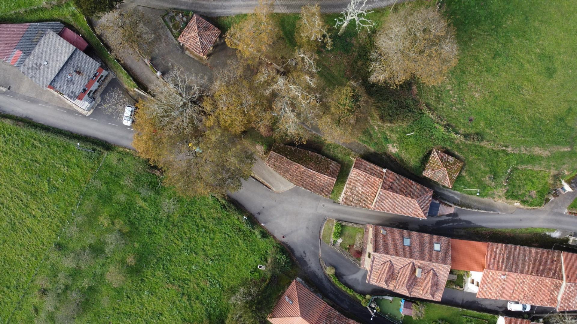 Casas o chalets-Venta-PiloÃ±a-1995216-Foto-4