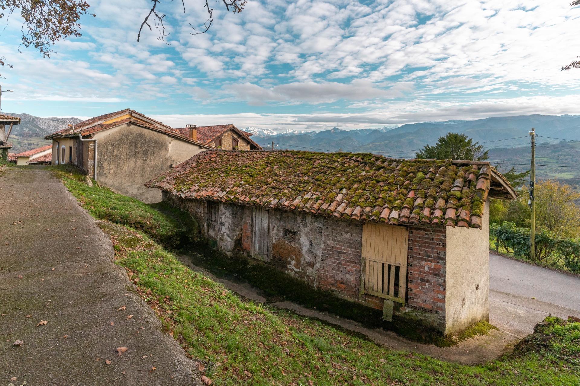 Casas o chalets-Venta-PiloÃ±a-1995216-Foto-6