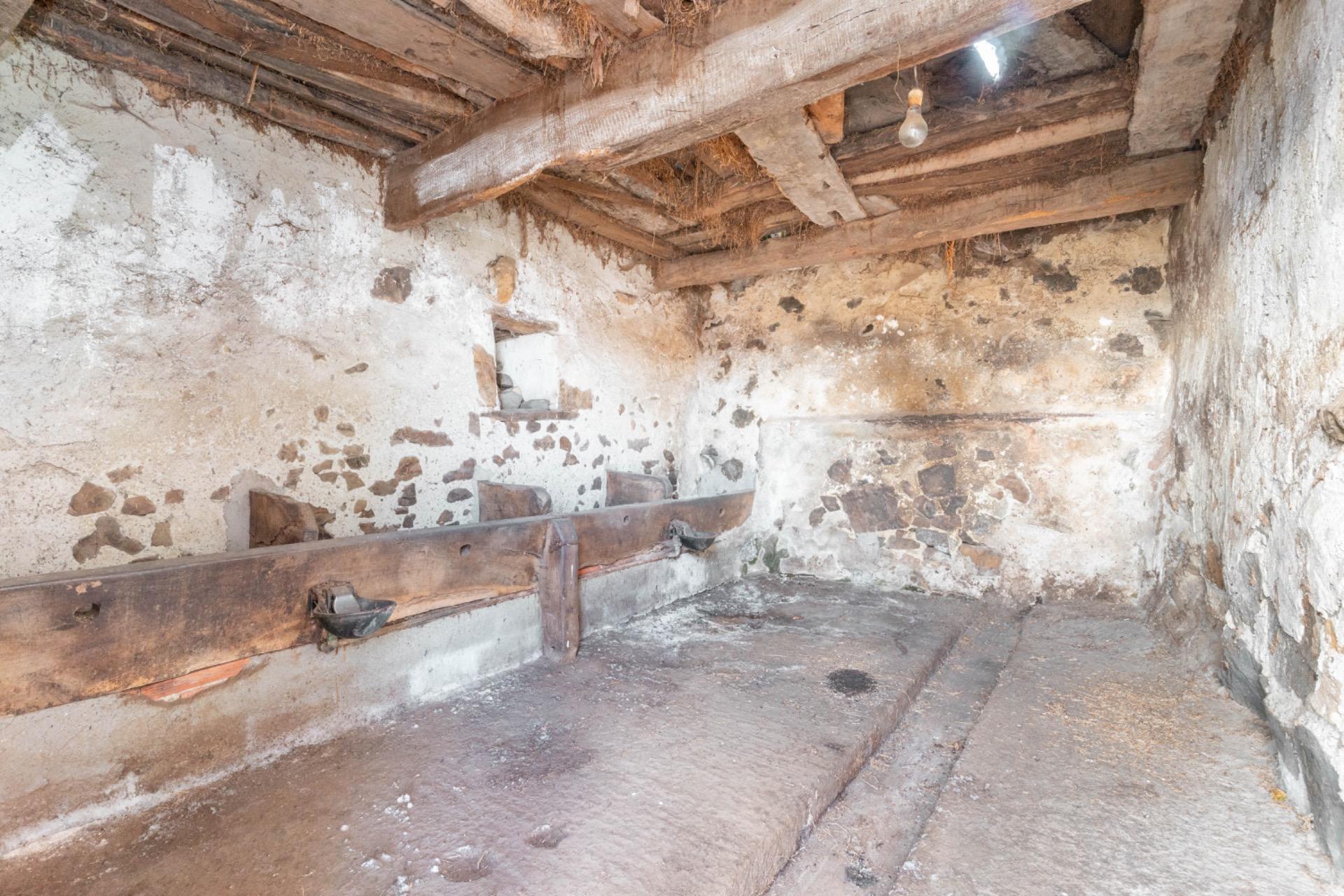 Casas o chalets-Venta-PiloÃ±a-1995216-Foto-10