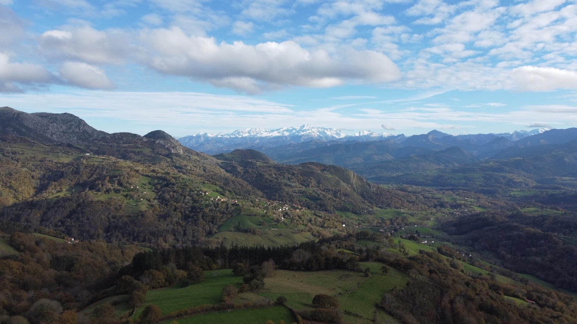 Casas o chalets-Venta-PiloÃ±a-1995216-Foto-18