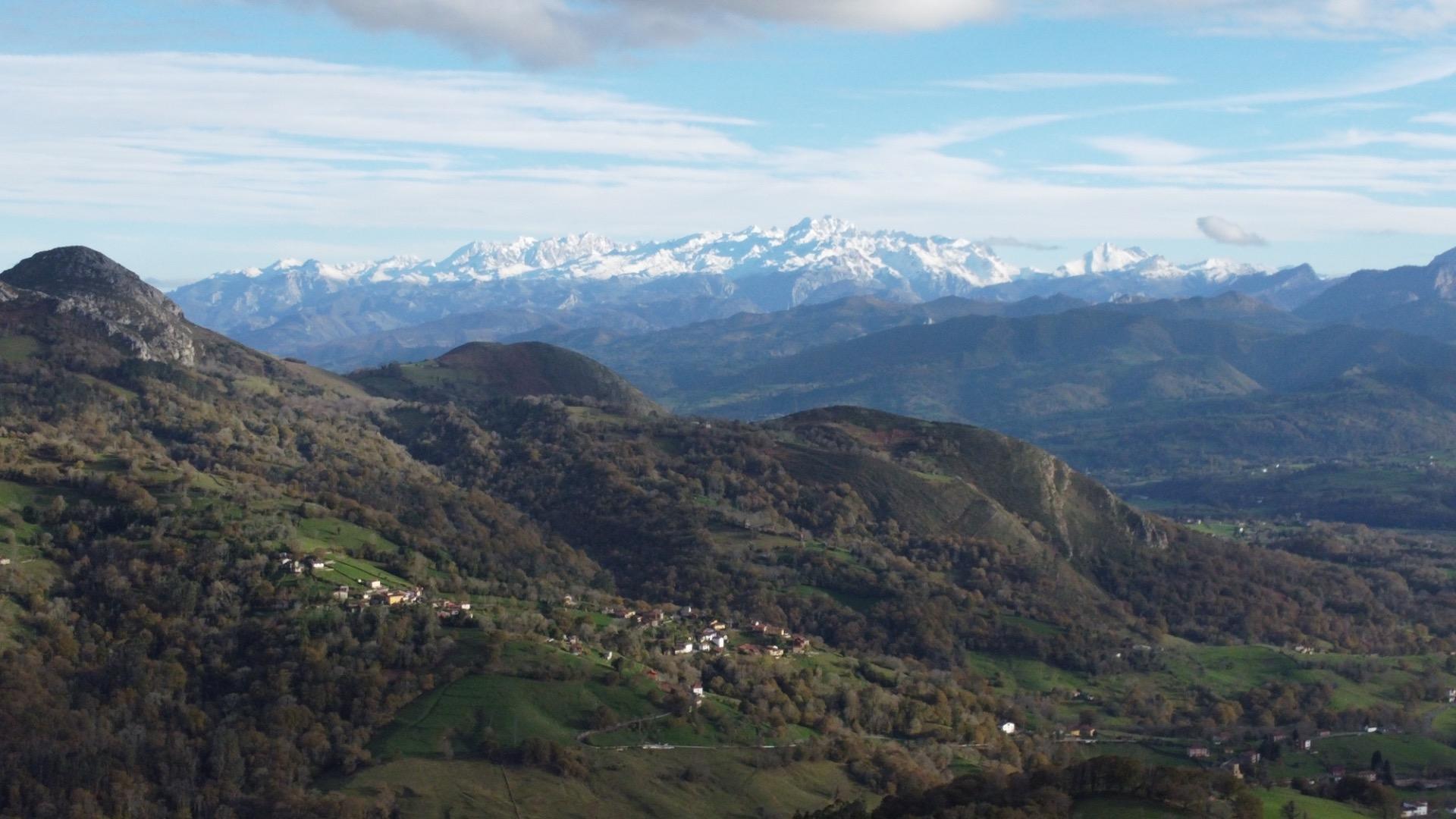 Casas o chalets-Venta-PiloÃ±a-1995216-Foto-19