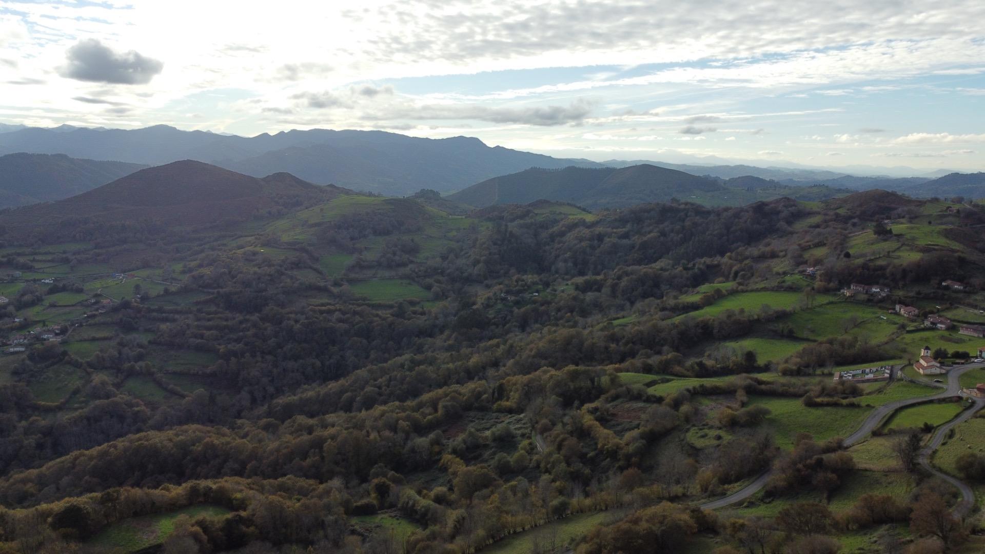 Casas o chalets-Venta-PiloÃ±a-1995216-Foto-21