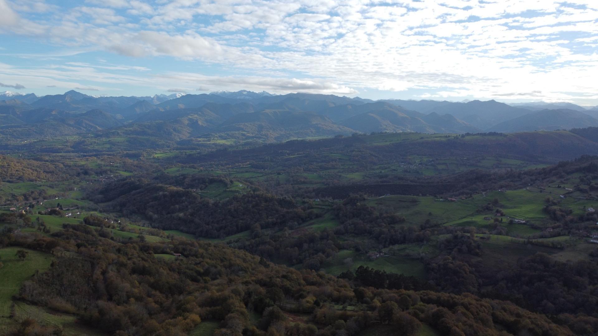 Casas o chalets-Venta-PiloÃ±a-1995216-Foto-27