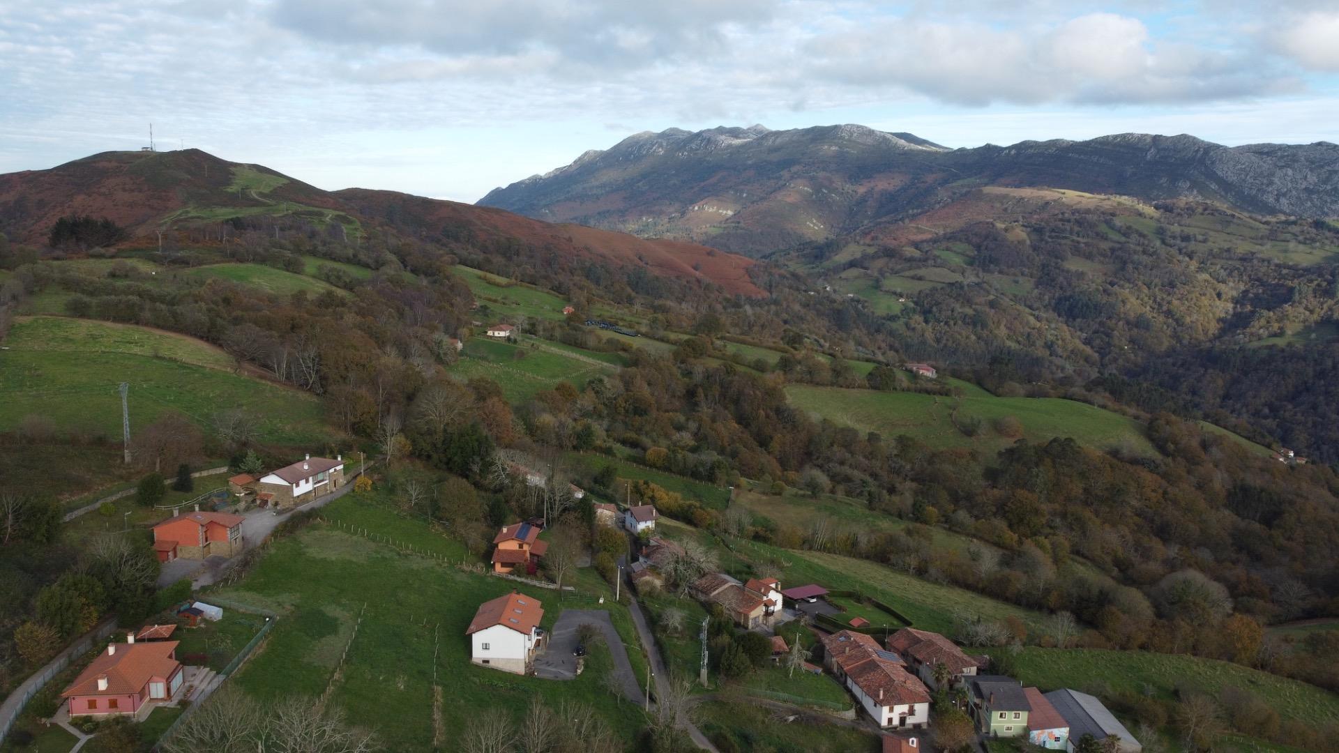 Casas o chalets-Venta-PiloÃ±a-1995216-Foto-25