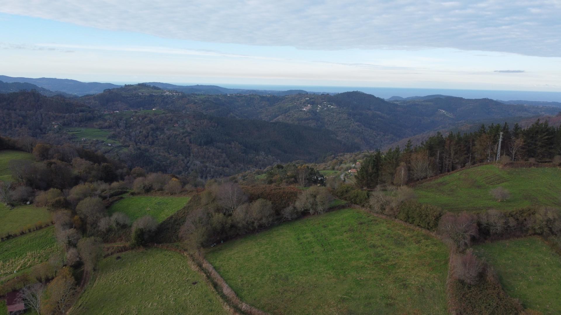 Casas o chalets-Venta-PiloÃ±a-1995216-Foto-24