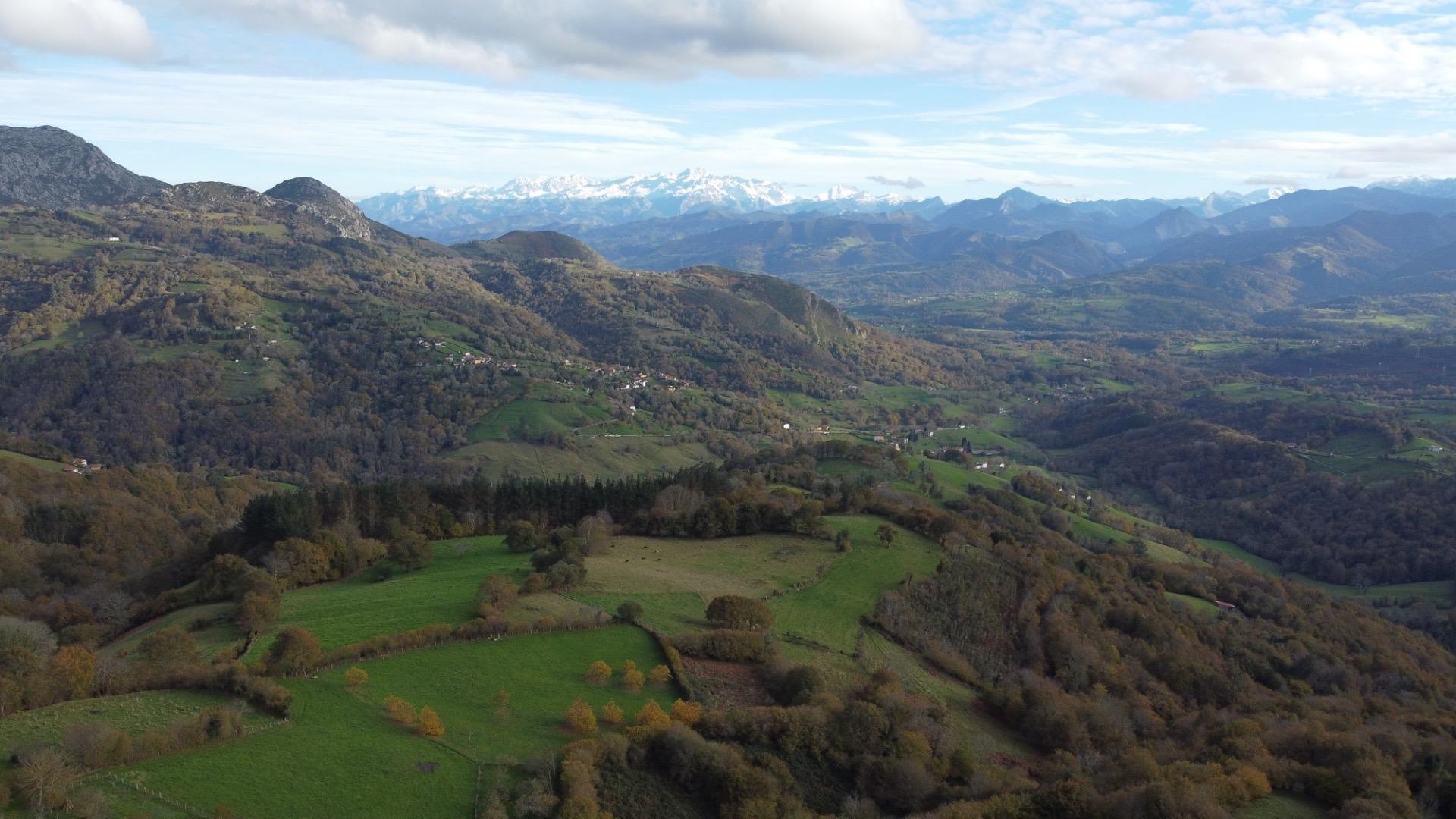 Casas o chalets-Venta-PiloÃ±a-1995216-Foto-26