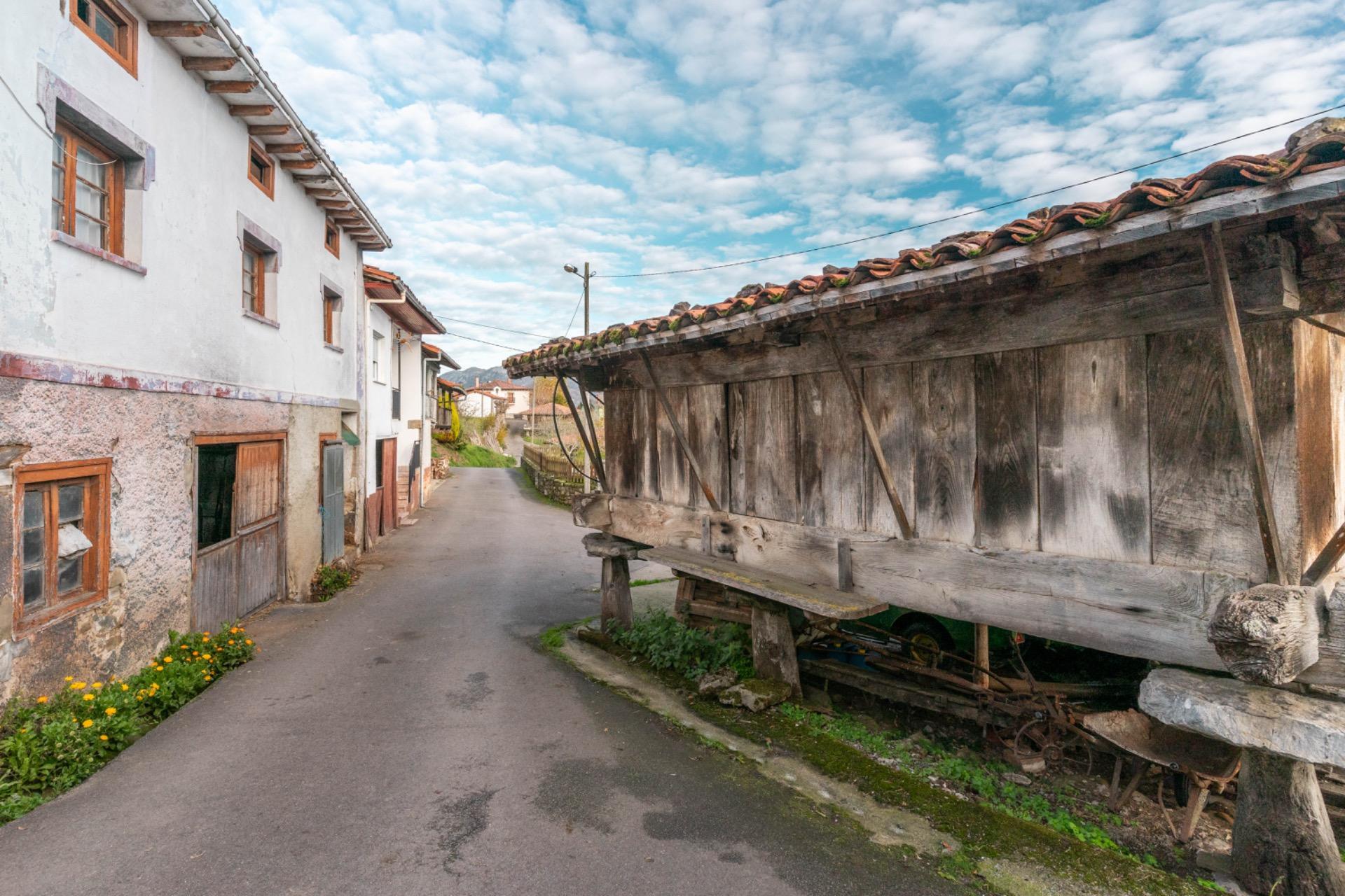 Casas o chalets-Venta-PiloÃ±a-1995216-Foto-30