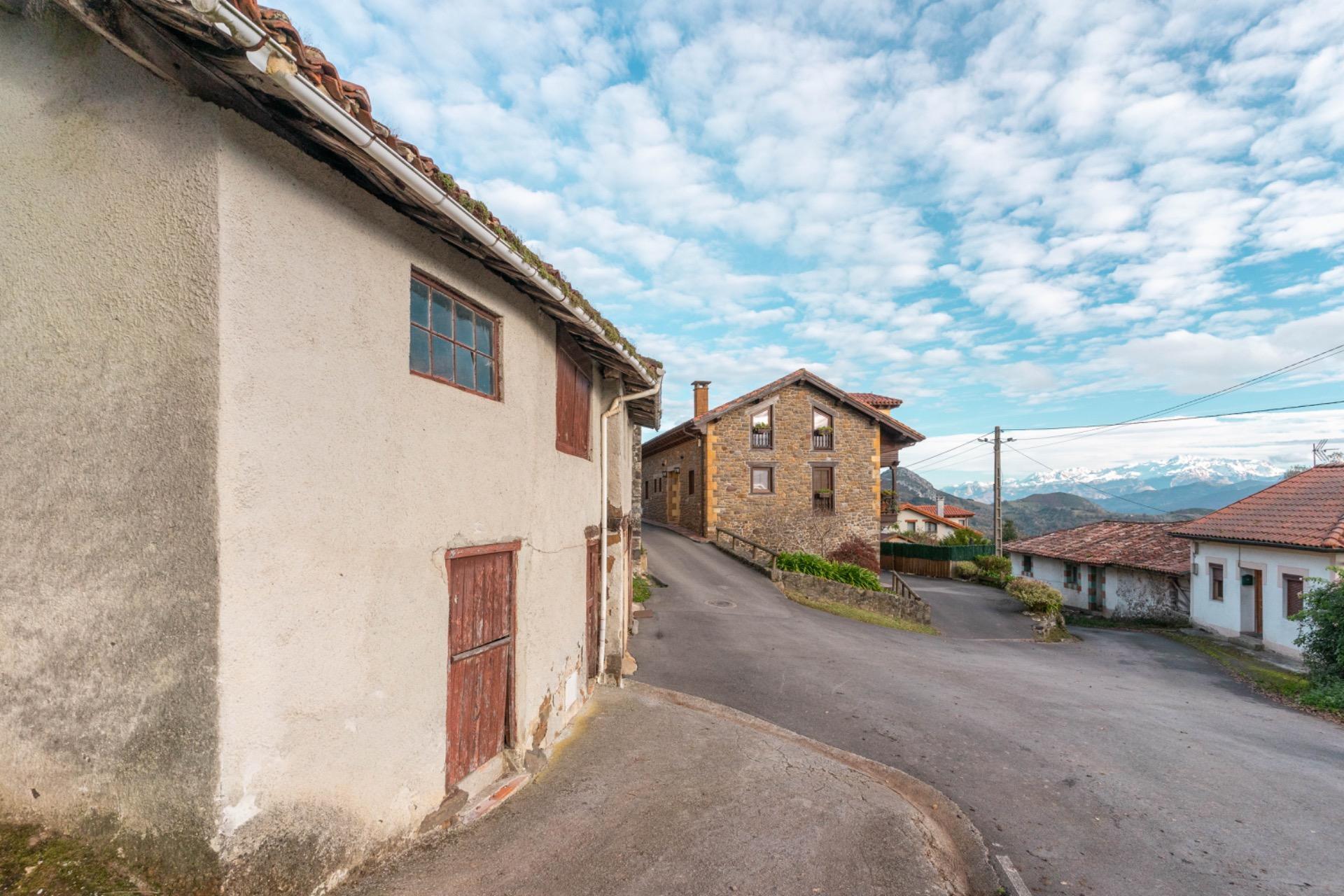 Casas o chalets-Venta-PiloÃ±a-1995216-Foto-37