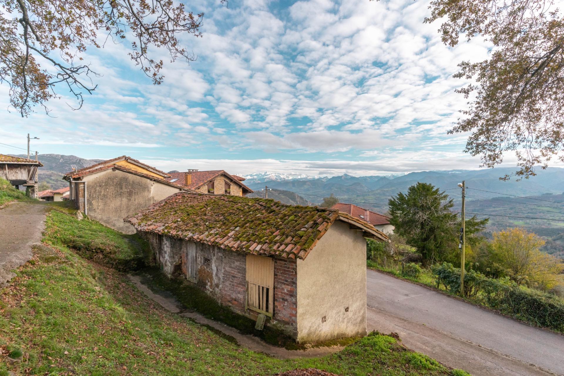Casas o chalets-Venta-PiloÃ±a-1995216-Foto-40