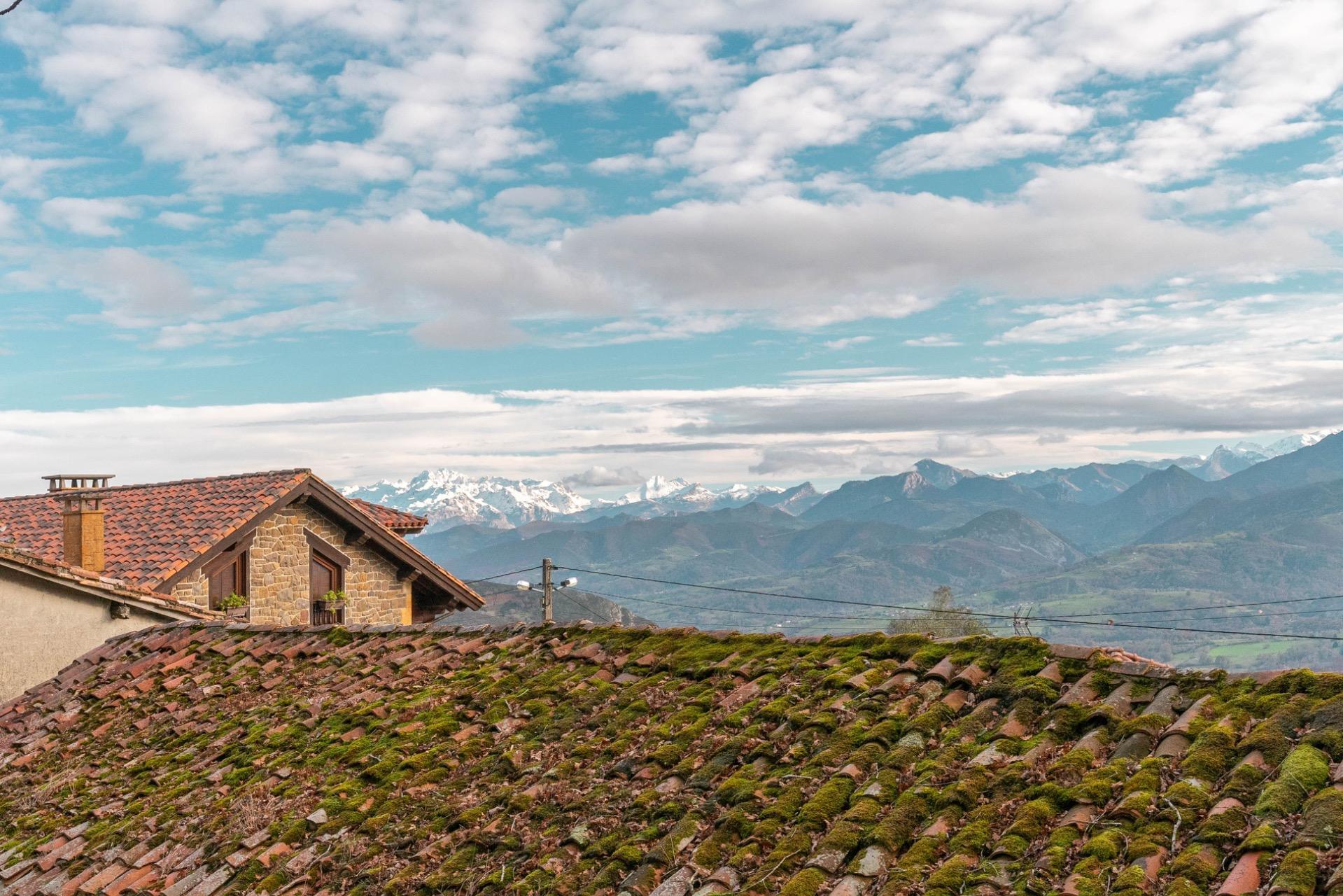 Casas o chalets-Venta-PiloÃ±a-1995216-Foto-38