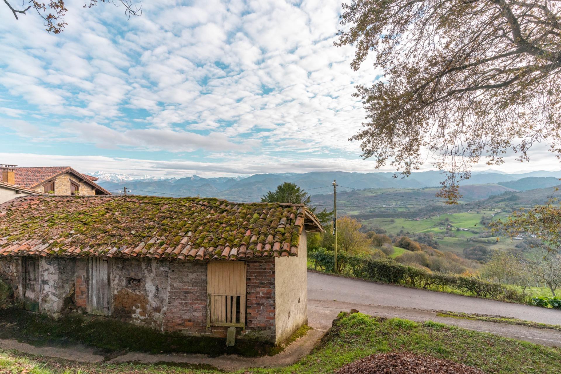 Casas o chalets-Venta-PiloÃ±a-1995216-Foto-39