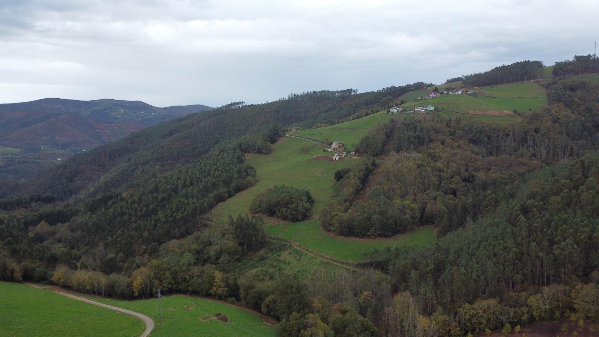 Casas o chalets-Venta-ValdÃ©s-1992085-Foto-45