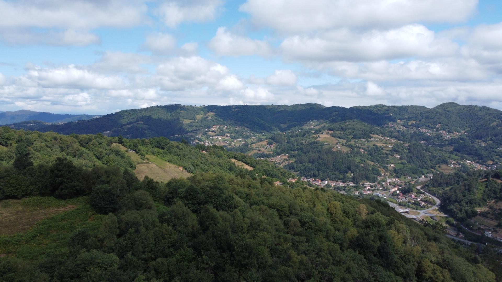 Casas o chalets-Venta-San MartÃ­n del Rey Aurelio-1829300-Foto-39