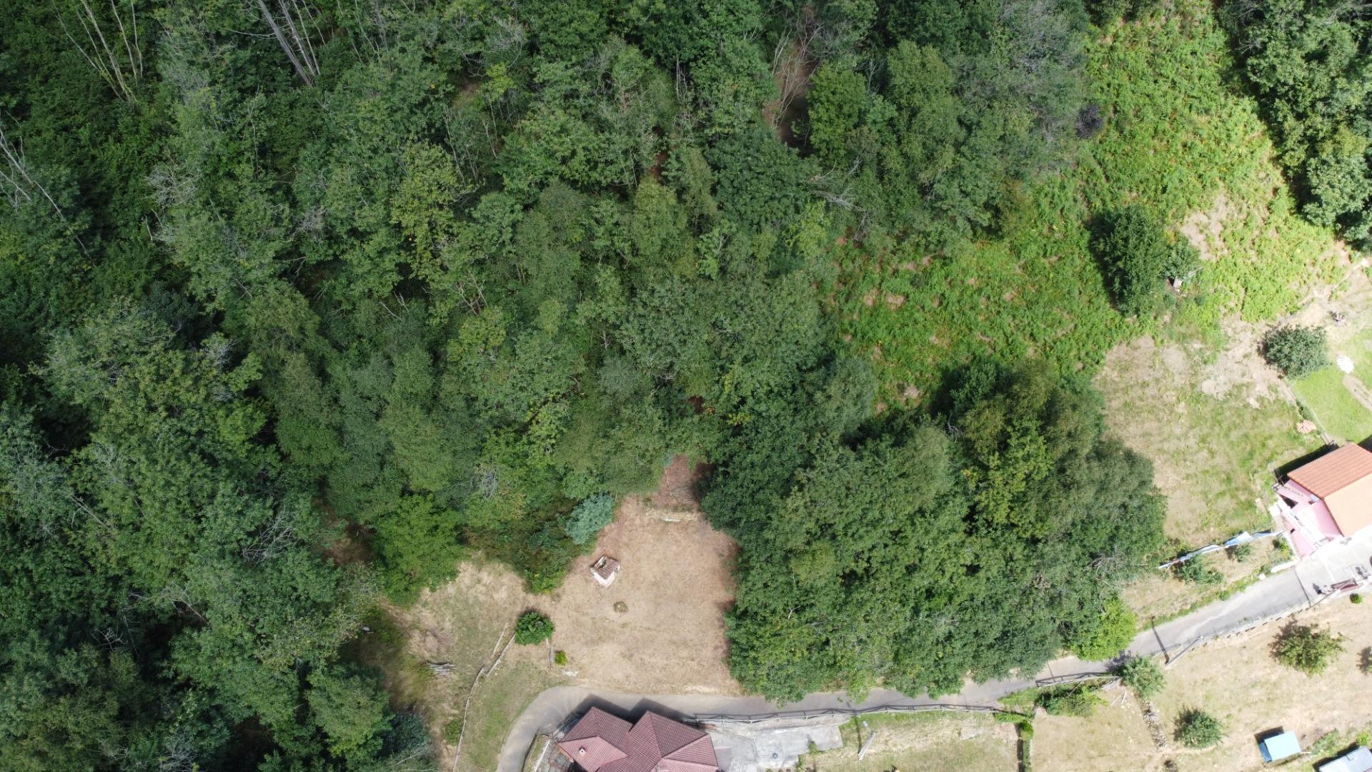 Casas o chalets-Venta-San MartÃ­n del Rey Aurelio-1829300-Foto-43