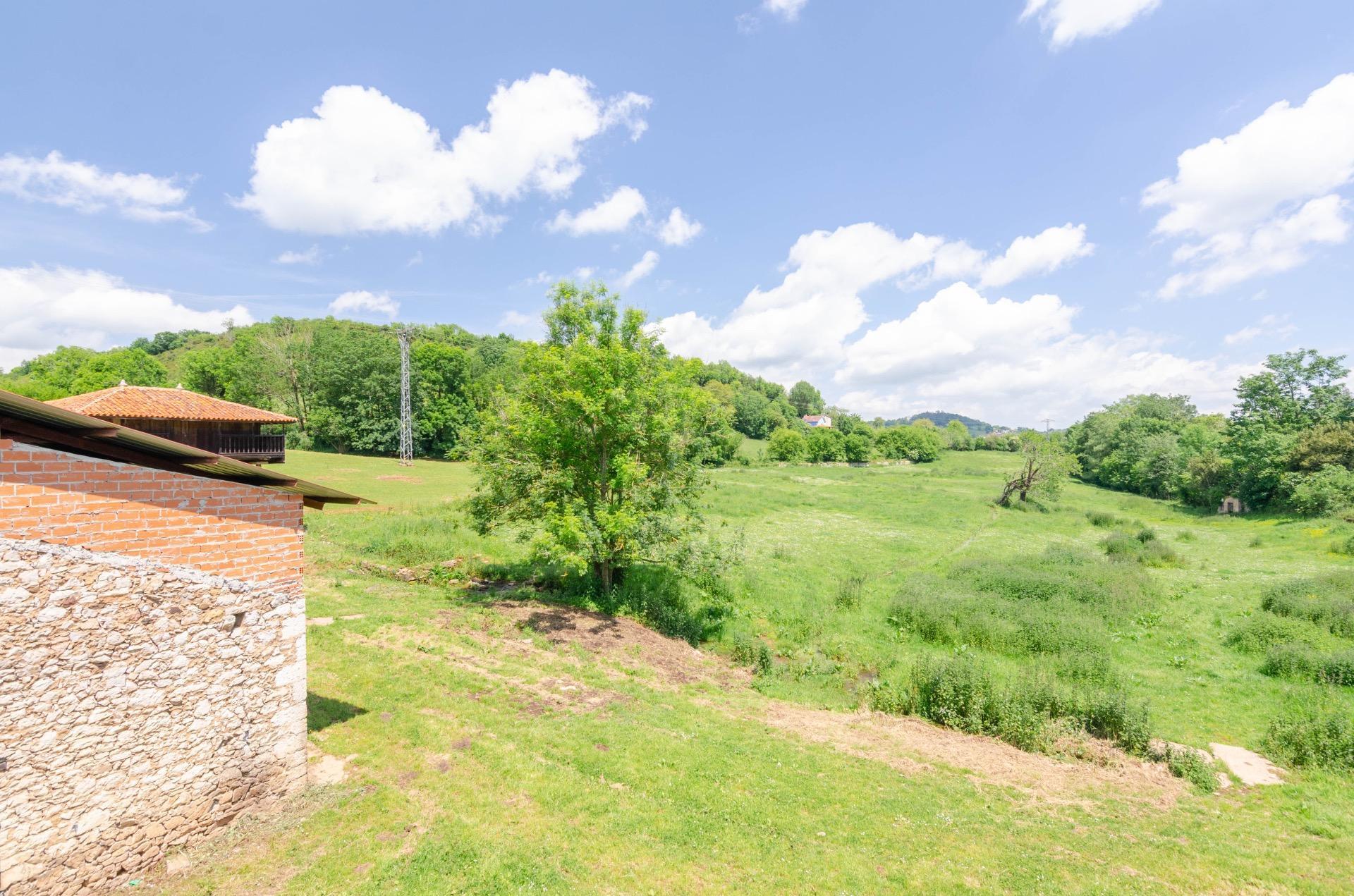 Casas o chalets-Venta-El Grado-1734208-Foto-56