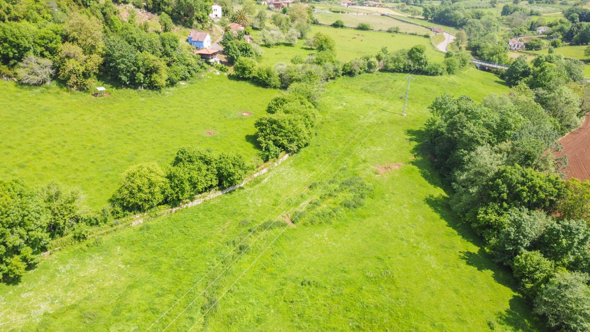 Casas o chalets-Venta-El Grado-1734208-Foto-57