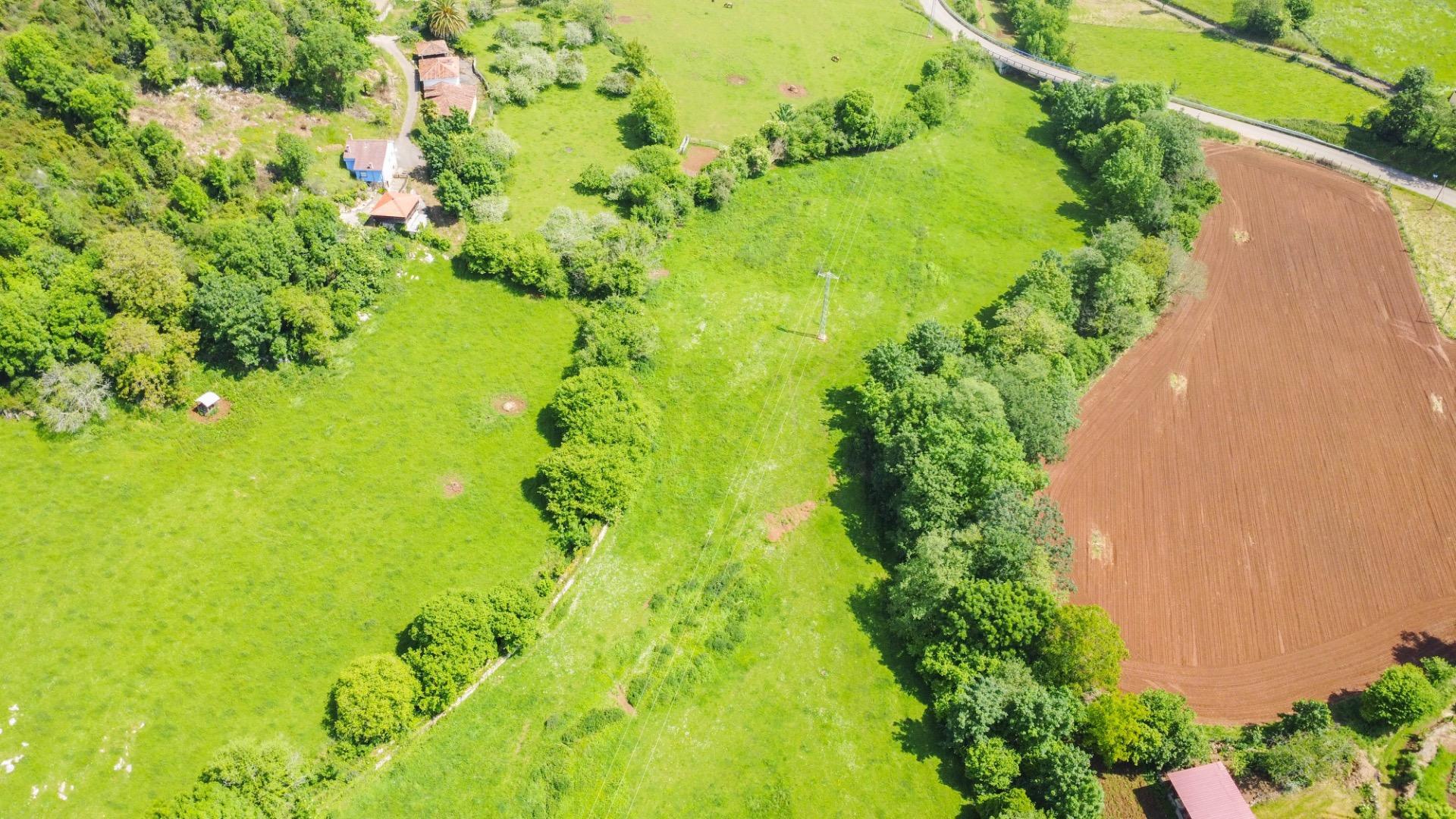 Casas o chalets-Venta-El Grado-1734208-Foto-63