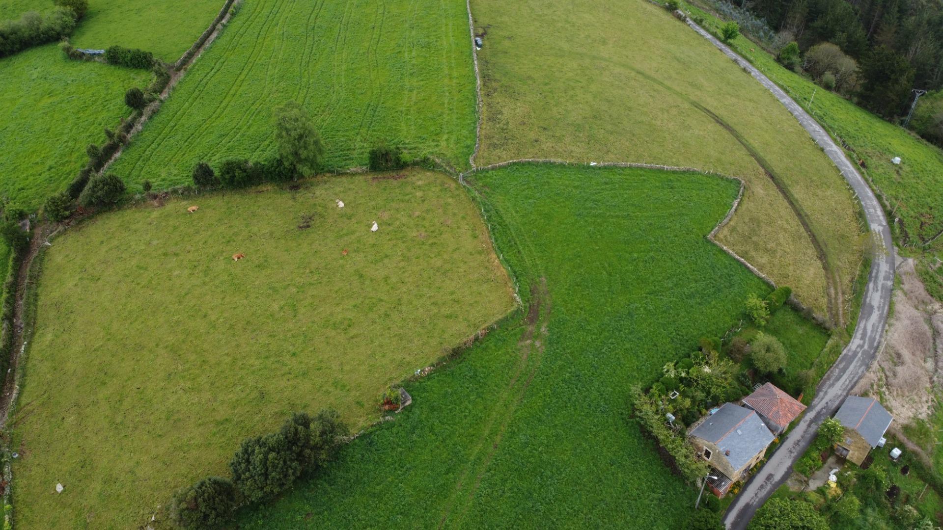 Casas o chalets-Venta-ValdÃ©s-1749313-Foto-31